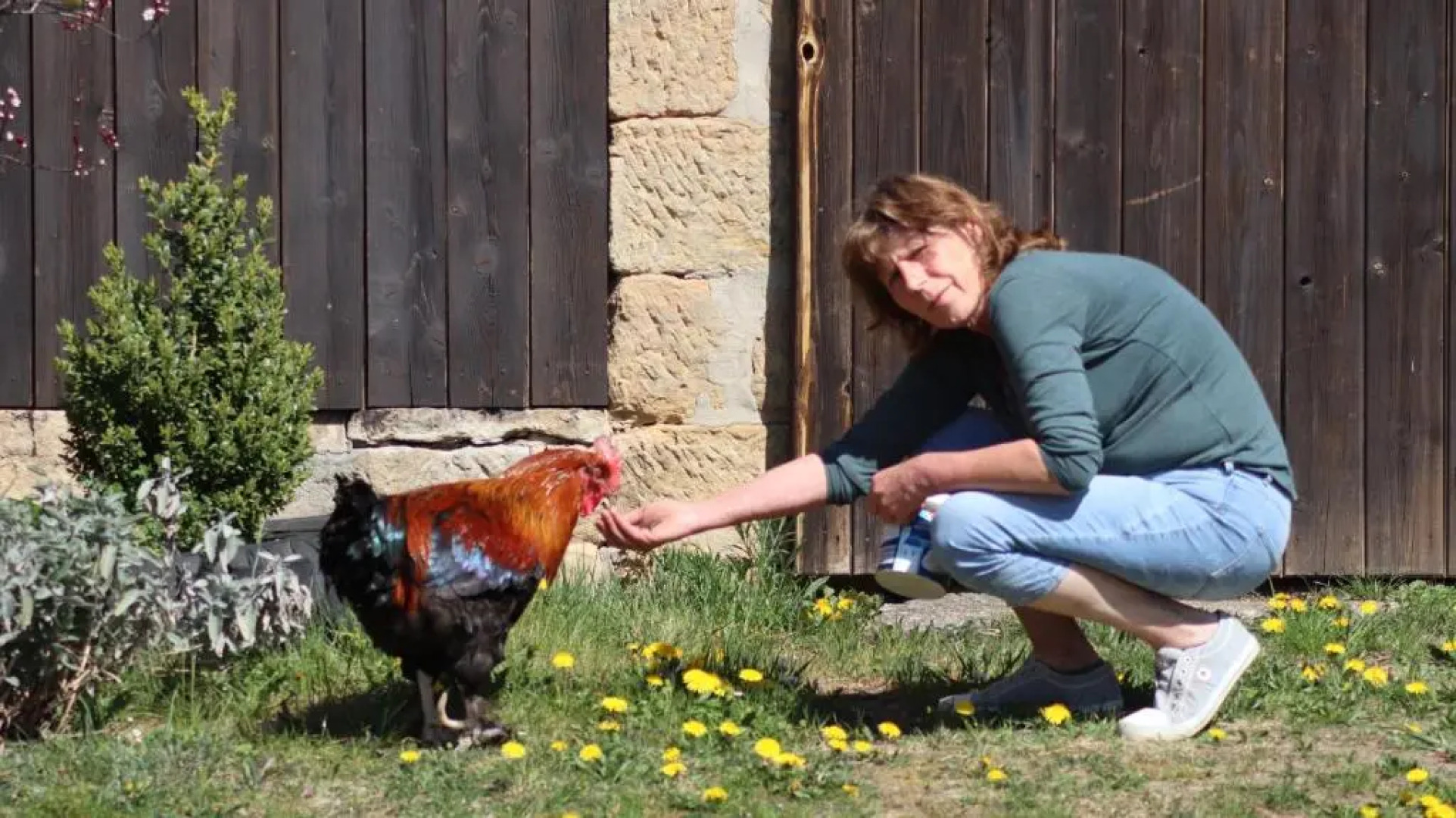 Ferienwohnungen Hering