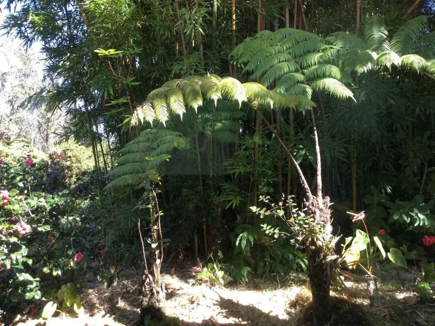 Hale 'Ohu Bed & Breakfast