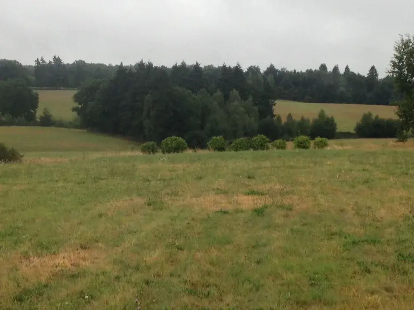 Chambres d'hôtes des Forêts