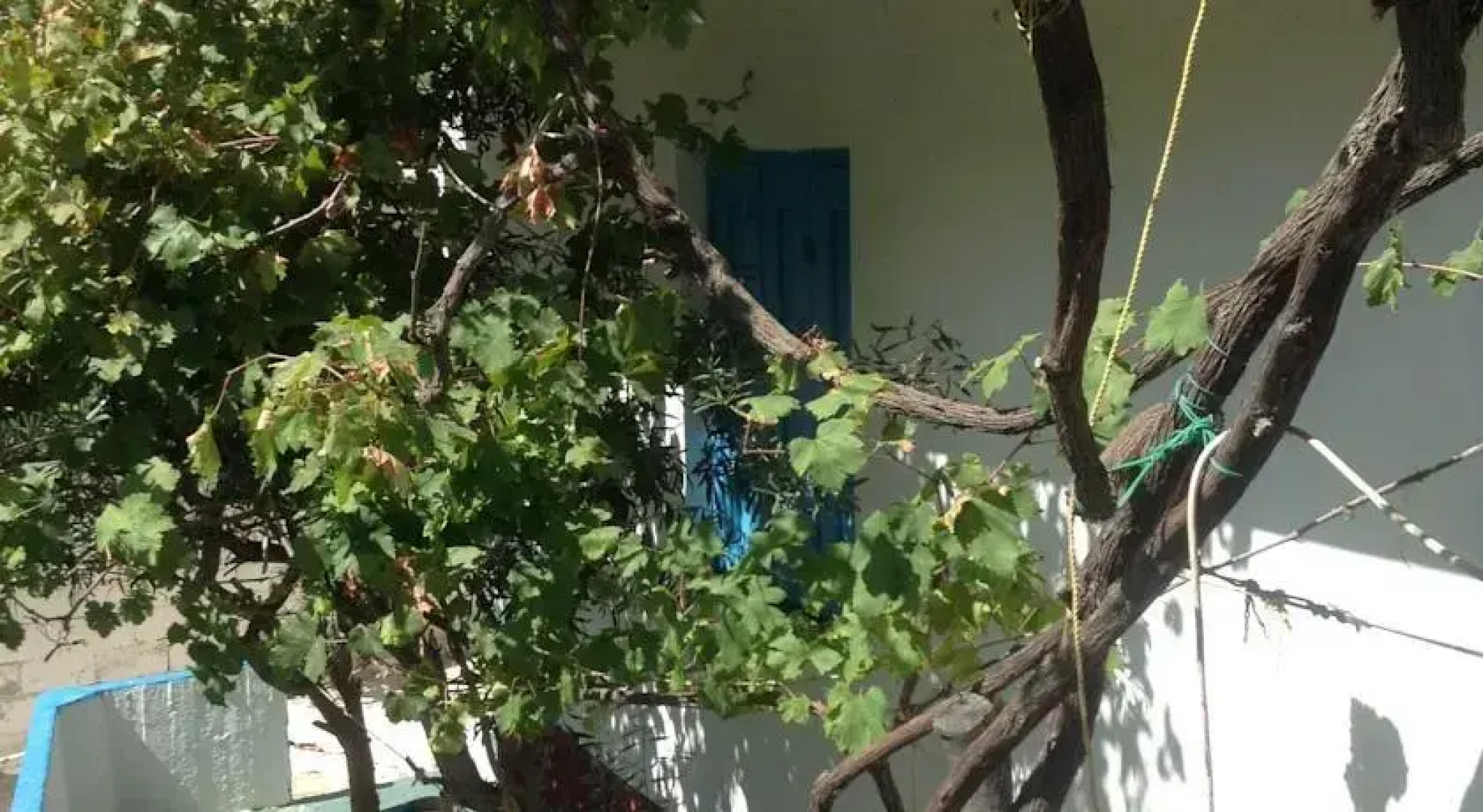 Rooms To Let Aikaterini Kondyla