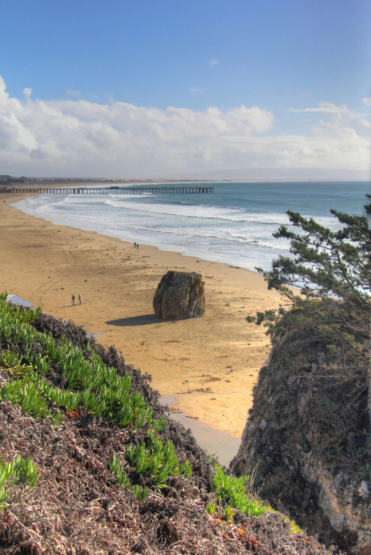 SeaCrest OceanFront Hotel