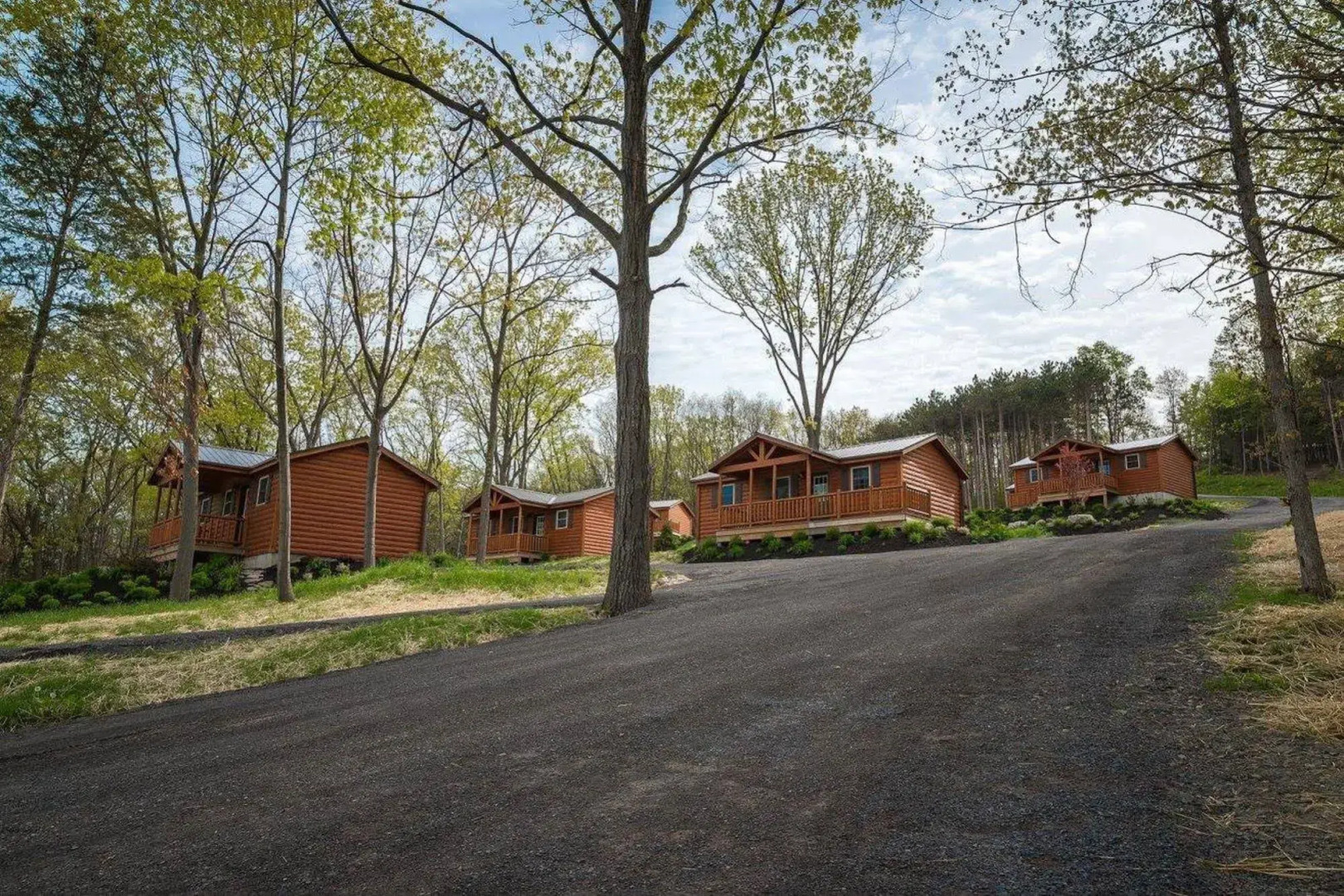 Single Island Shores