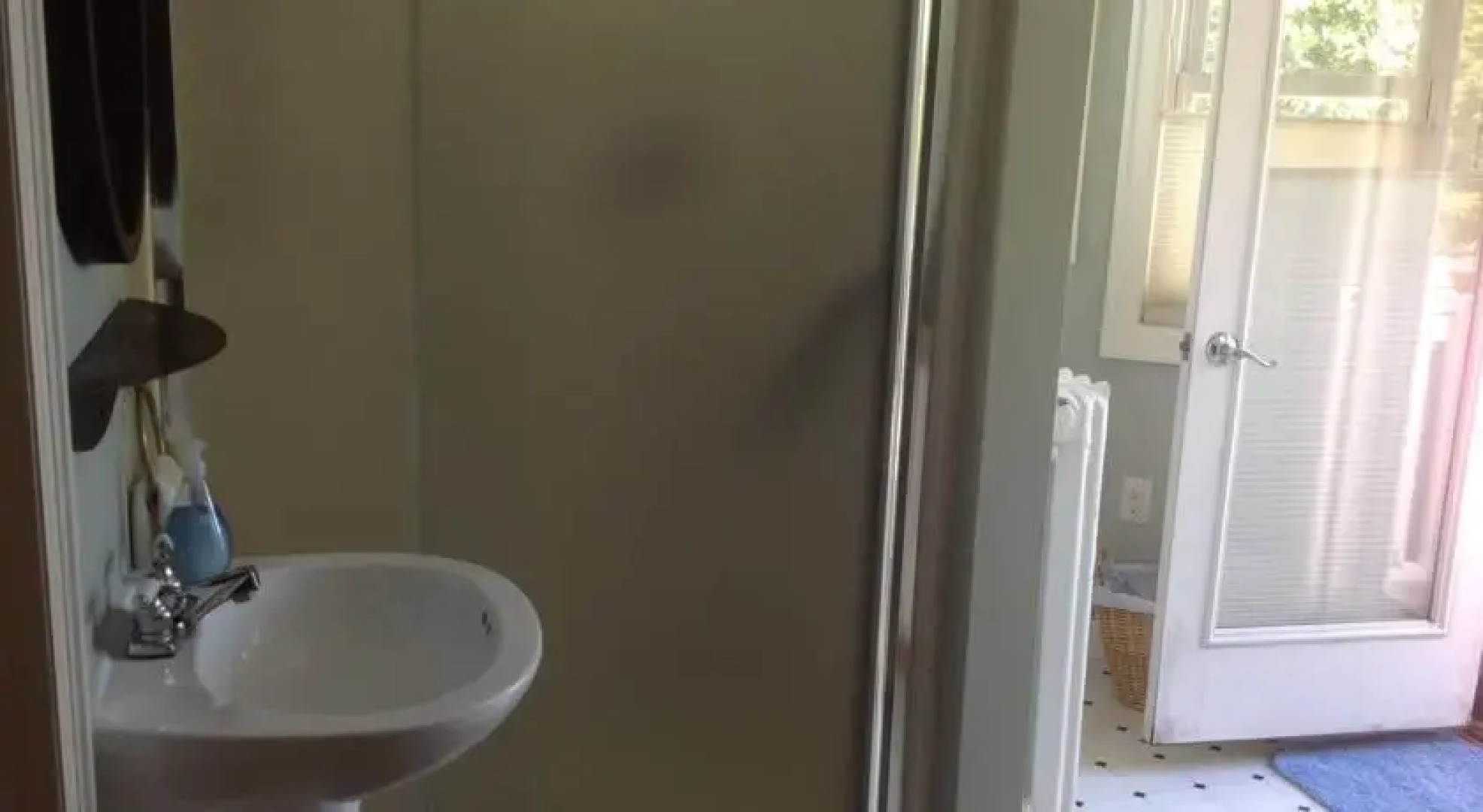 Downtown Victorian on Lake Mendota