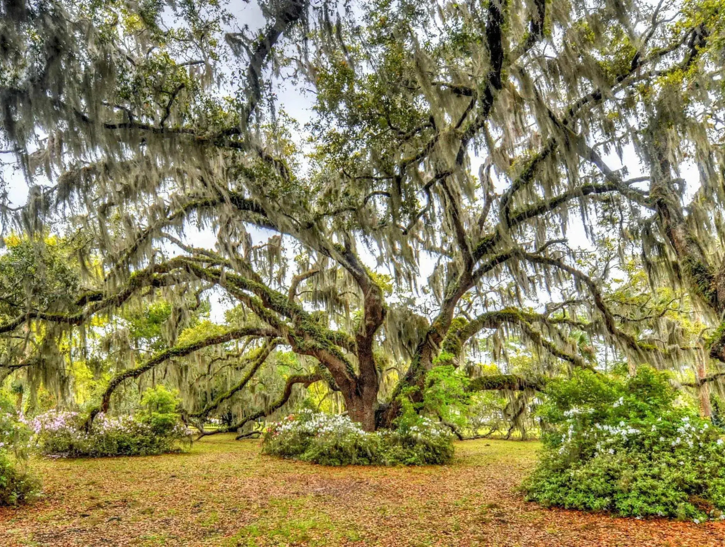 The Westin Jekyll Island Beach Resort