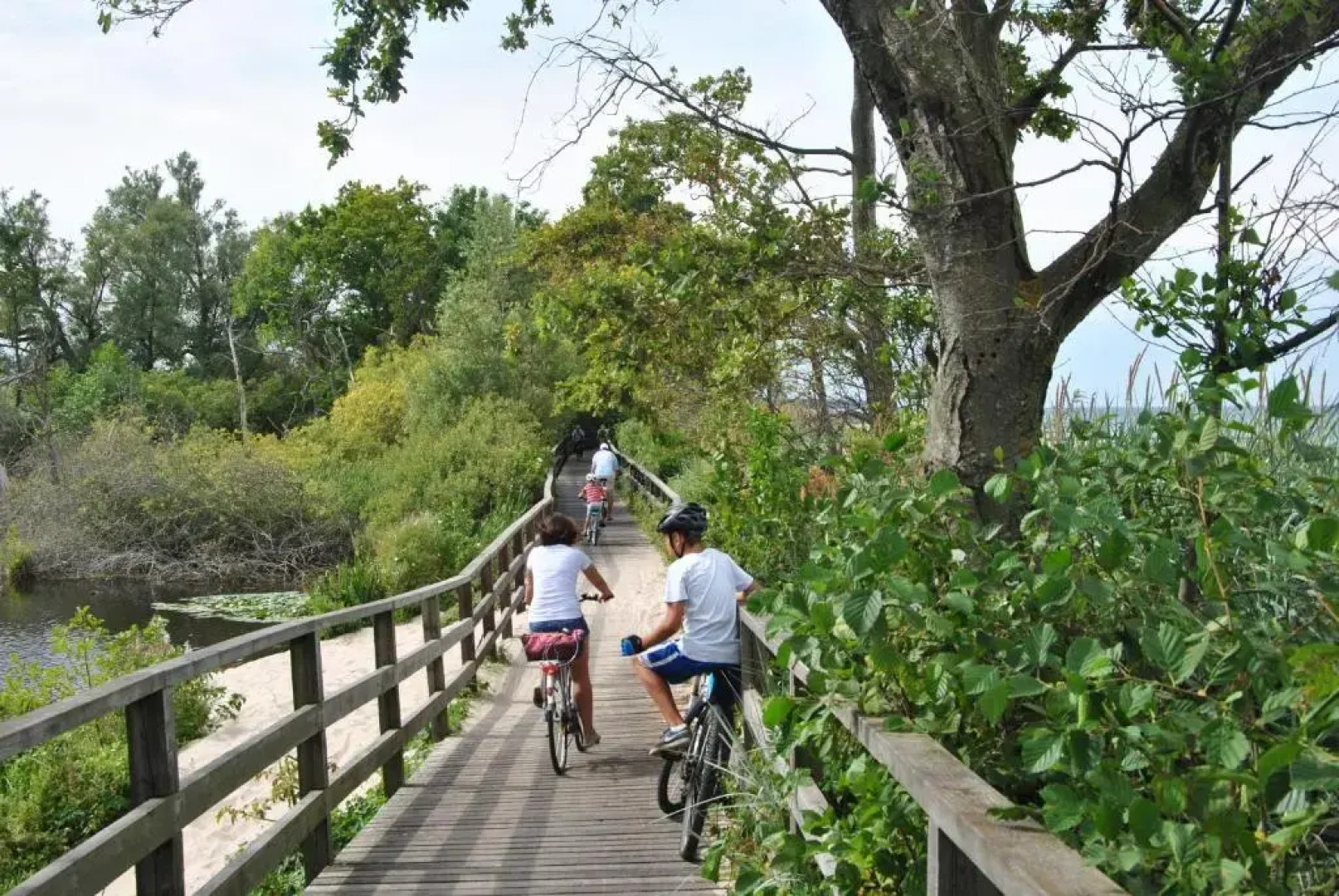 Interferie Cechsztyn