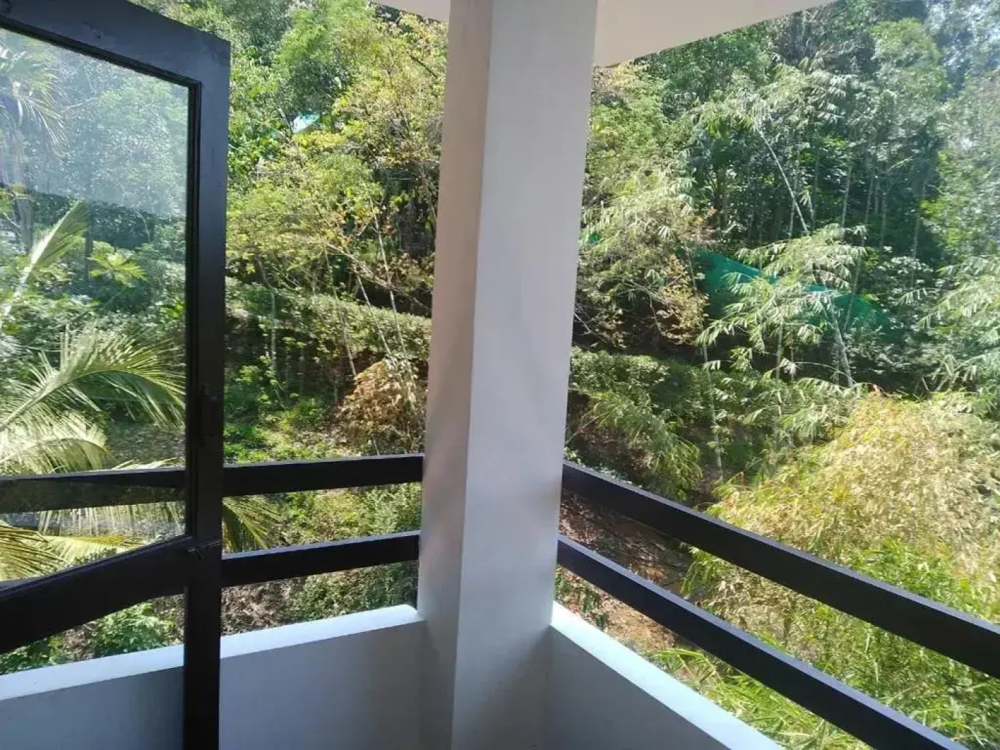 Spring & Valley View