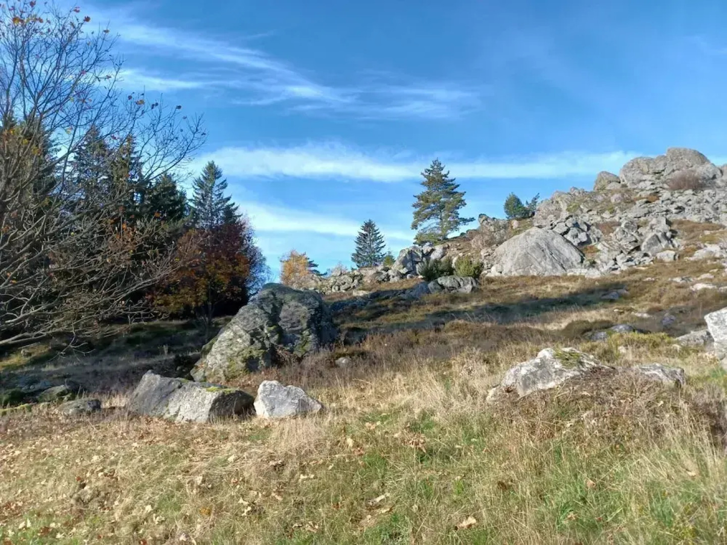 Schones Ferienhaus mit Grossem Garten bei Stadlern