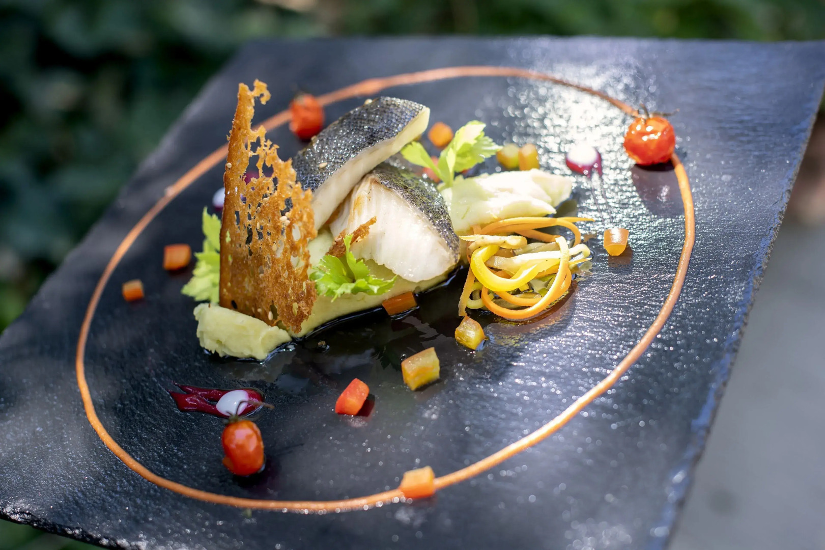 Ethra Reserve - Kalidria