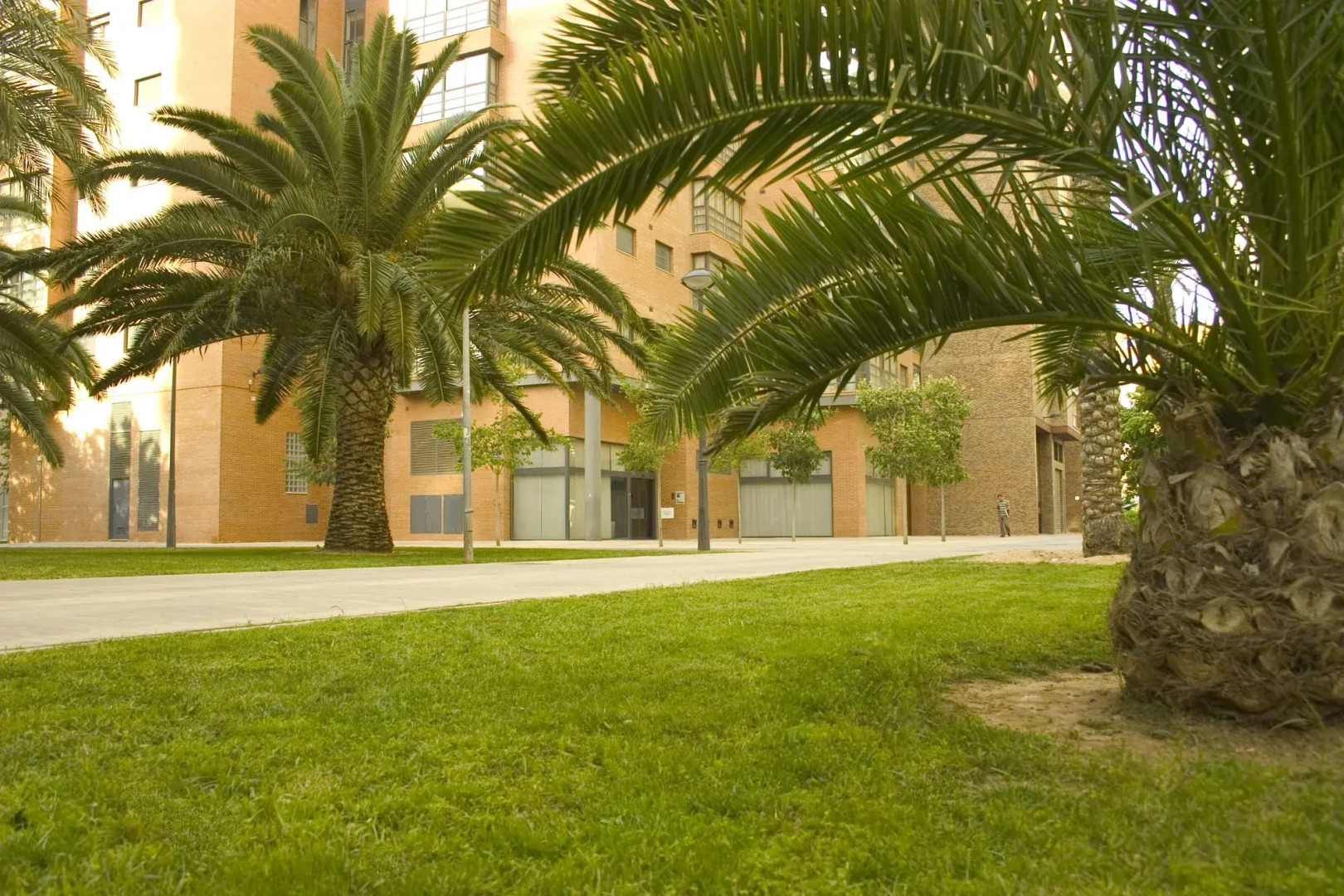 Apartamentos Plaza Picasso