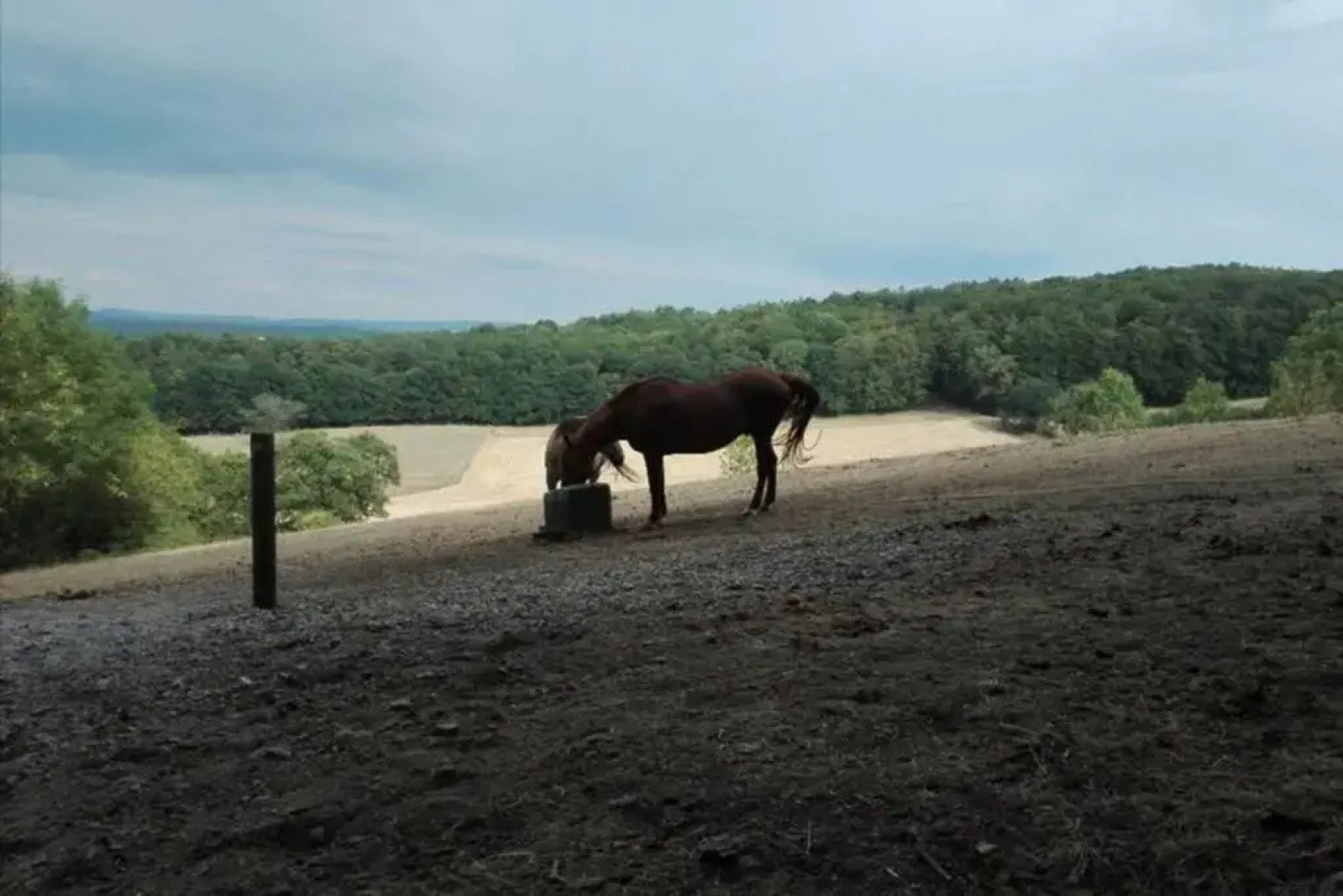 Schicke Ferienwohnung am Badesee bei Kassel