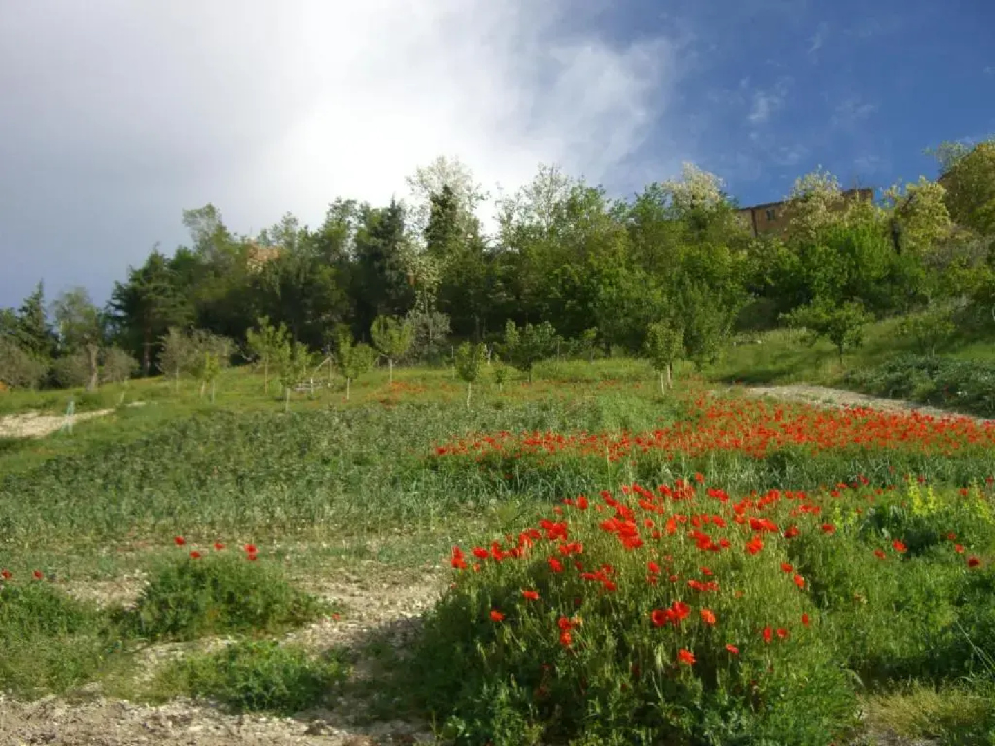 Agriturismo Pozzuolo