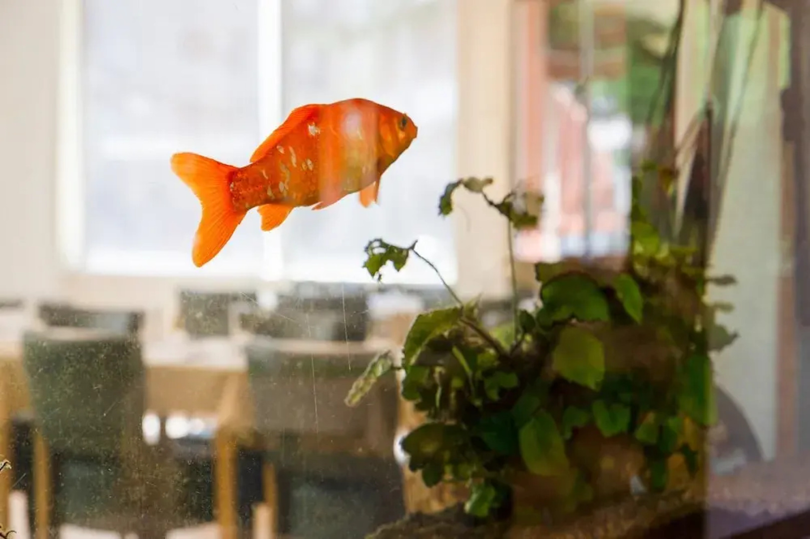 Inter Hôtel Gambetta