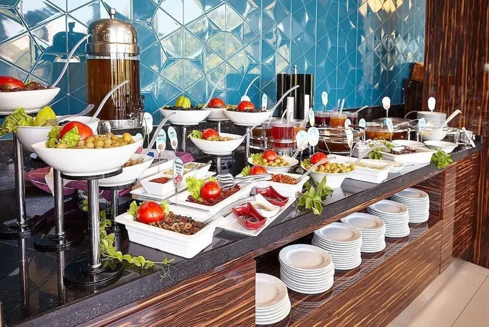 Hotel Buyuk Saruhan