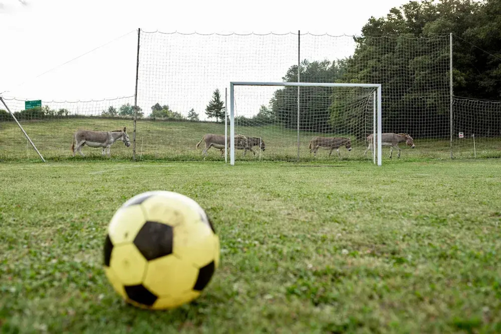 EkoTurizem Hudičevec