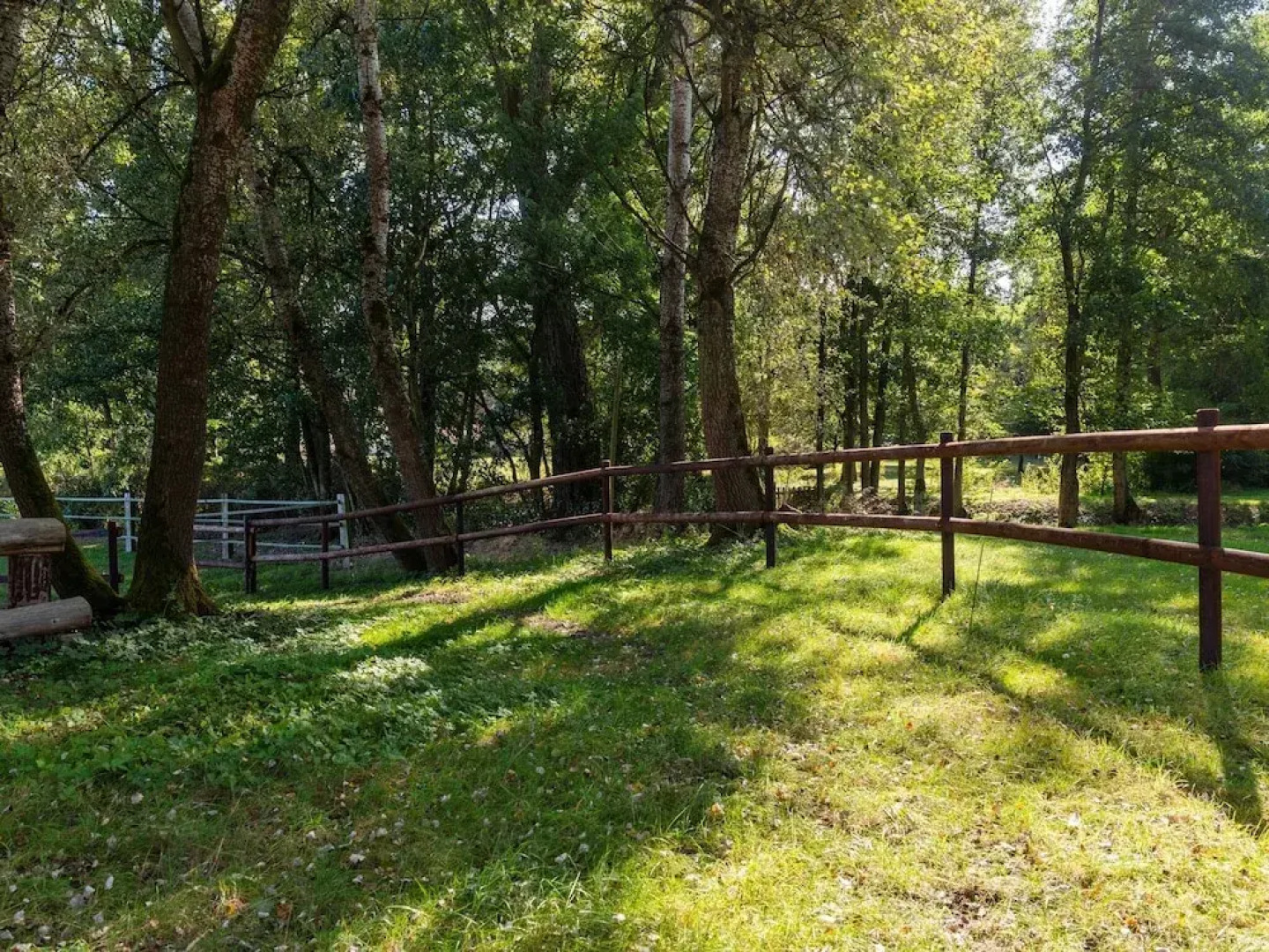 Pretty Holiday Home in Eschede Germany near Forest