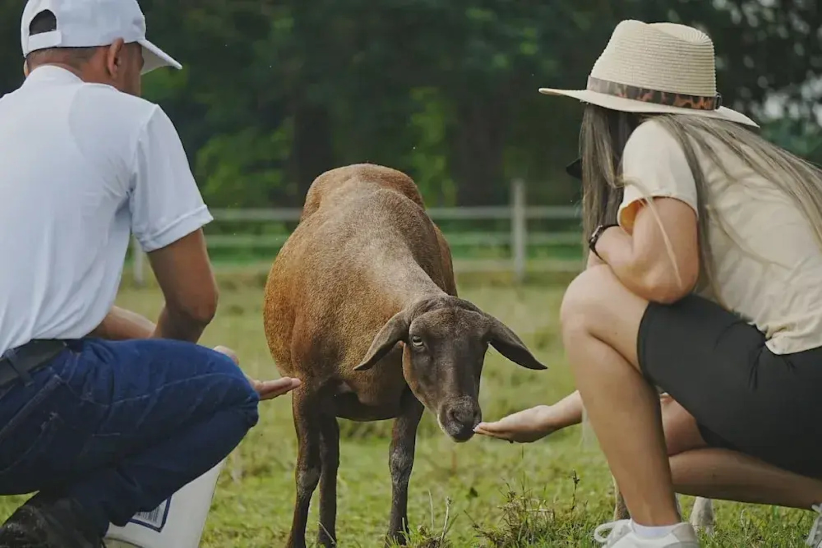 Hotel Brisas la Gaviota Mariquita-Tolima