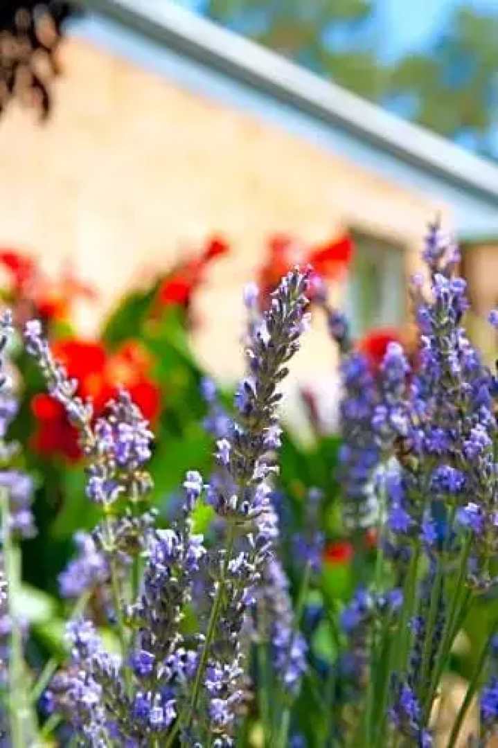 Brayfield Cottage