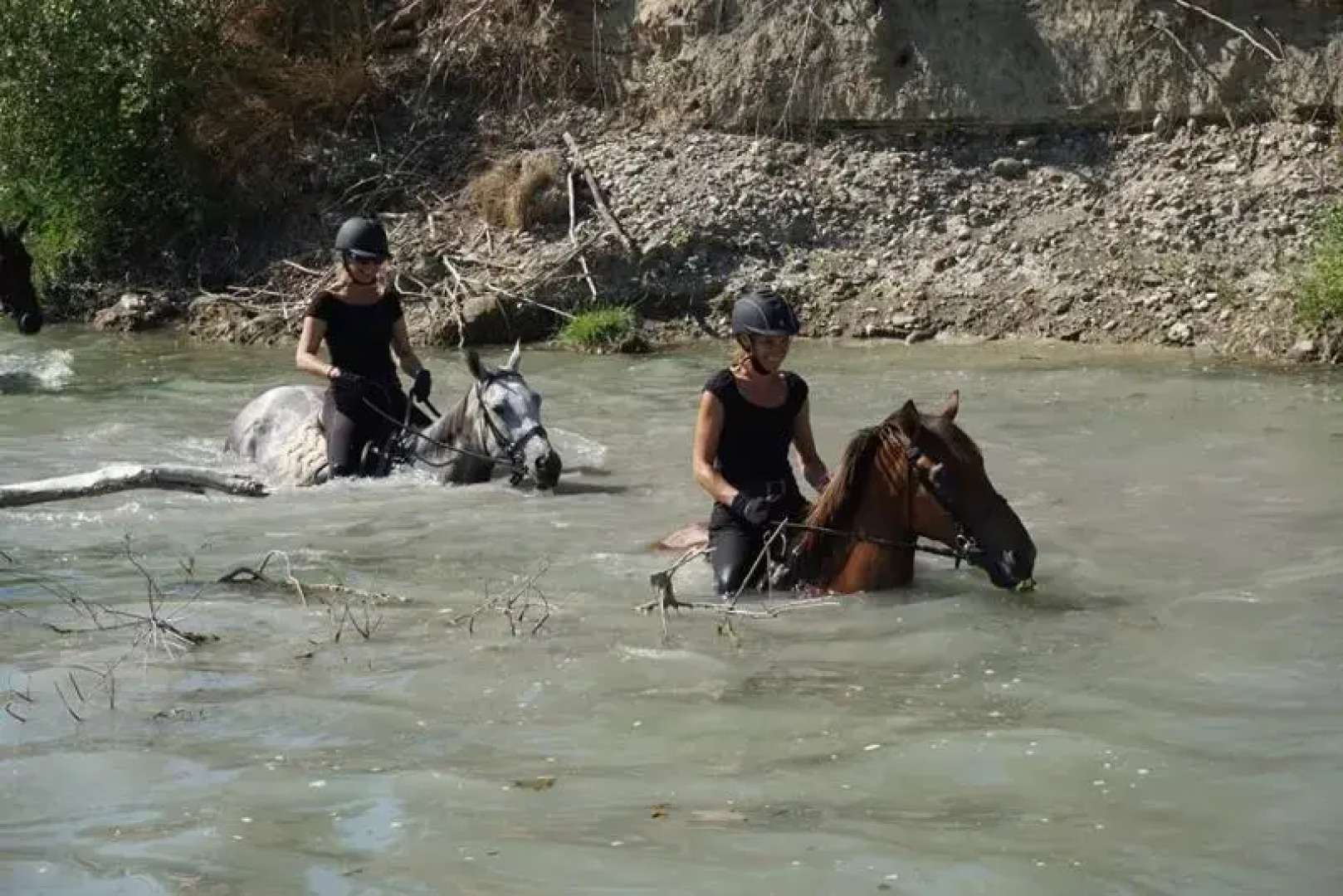 Diacceroni B&B Organic Farmhouse