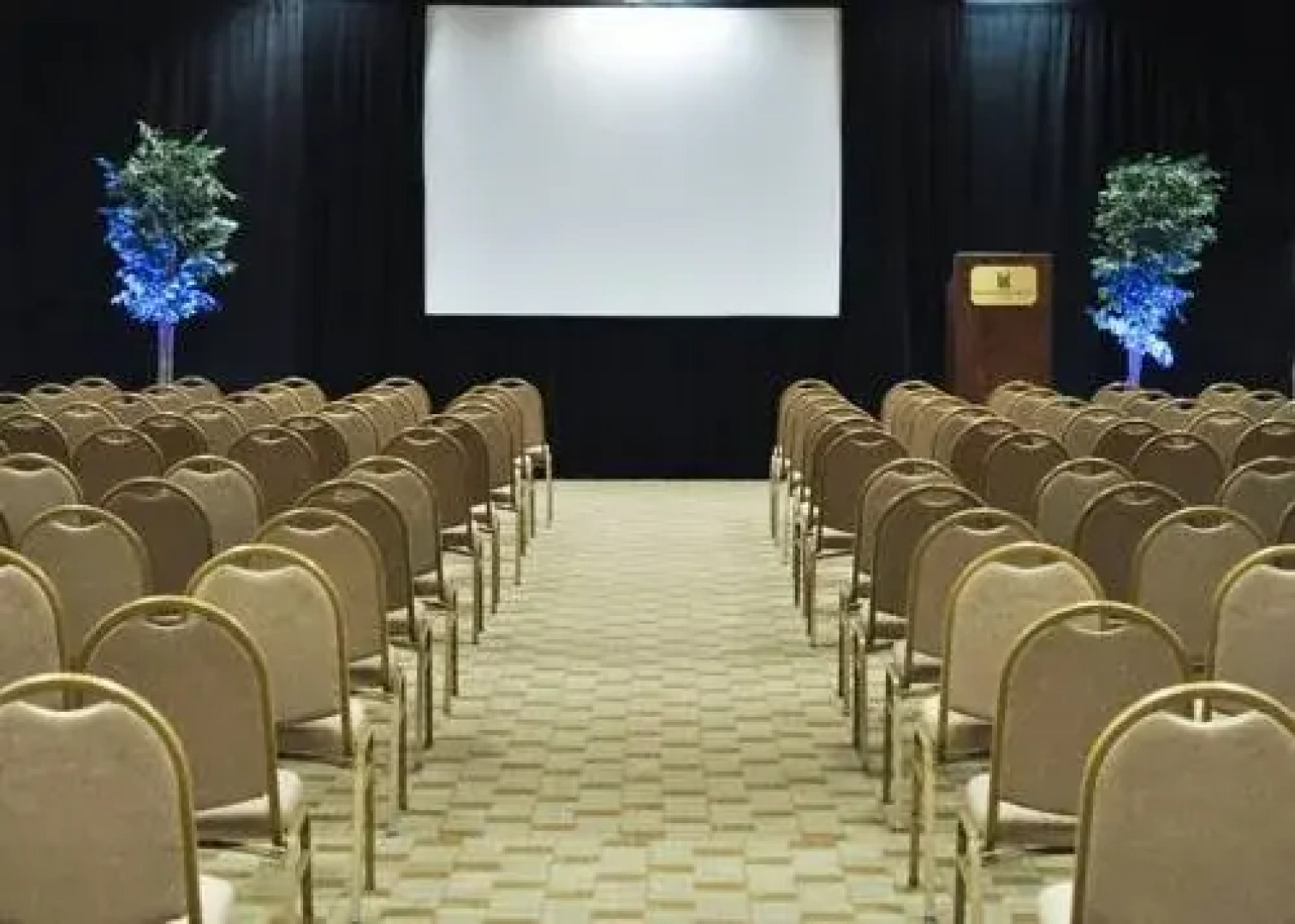 Millennium Hotel St. Louis