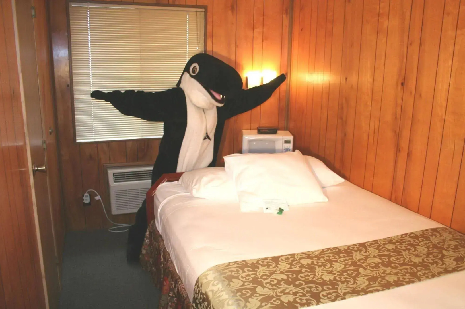 The Orca Inn