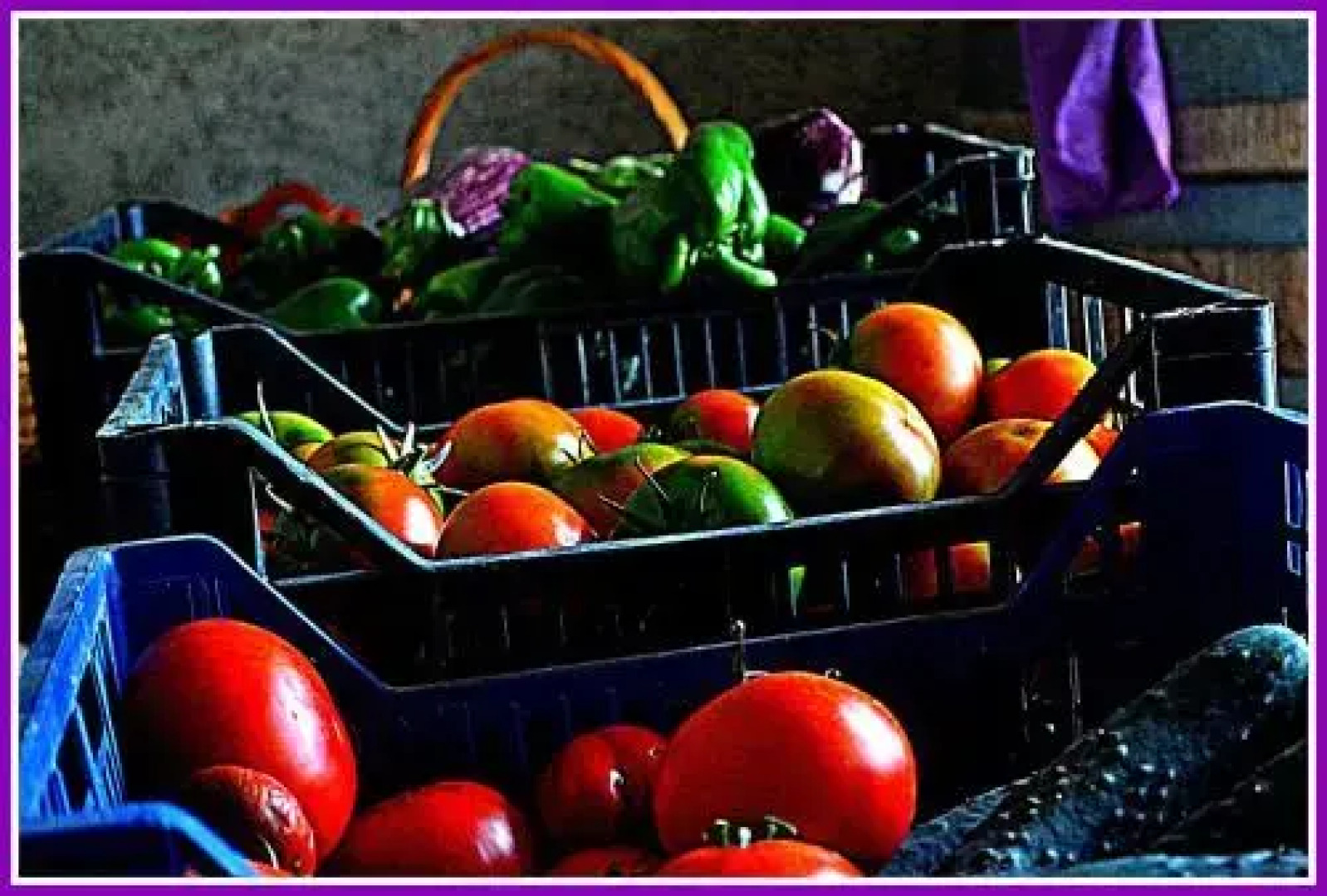 Agriturismo il Tripesce