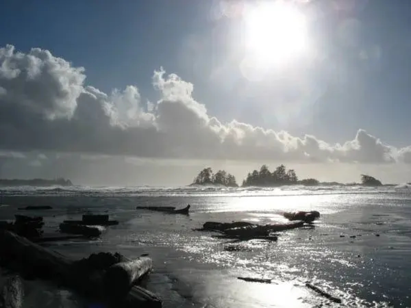 Wild Shores Guest House