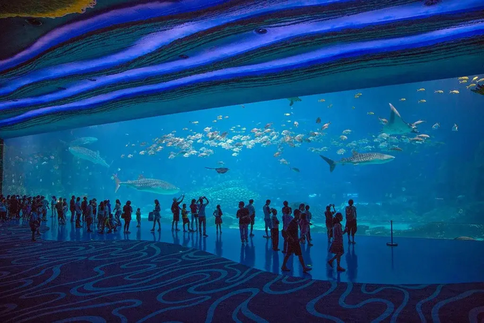 Chimelong Circus Hotel