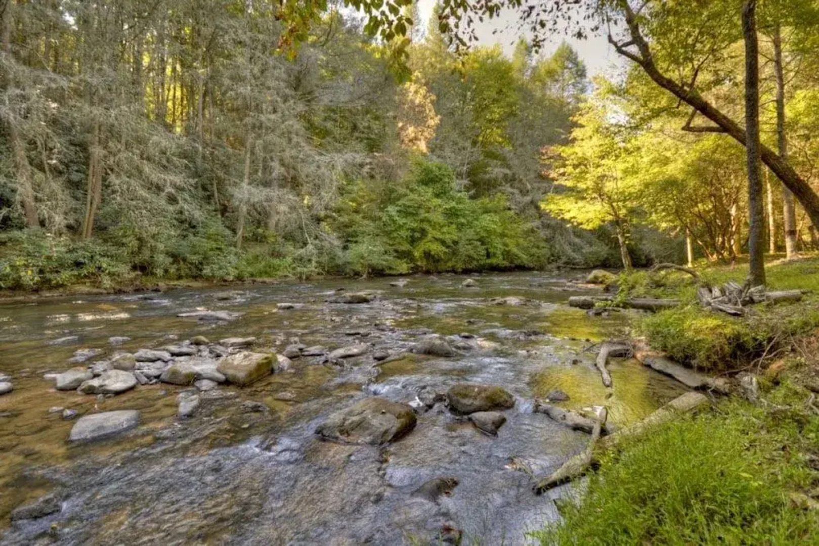 Chillin By The Creek