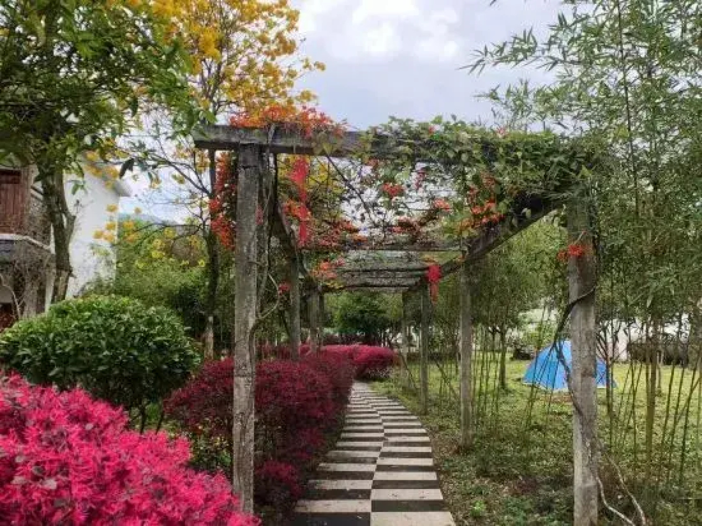 Yingxi Peak Forest Corridor Cuiying Residence