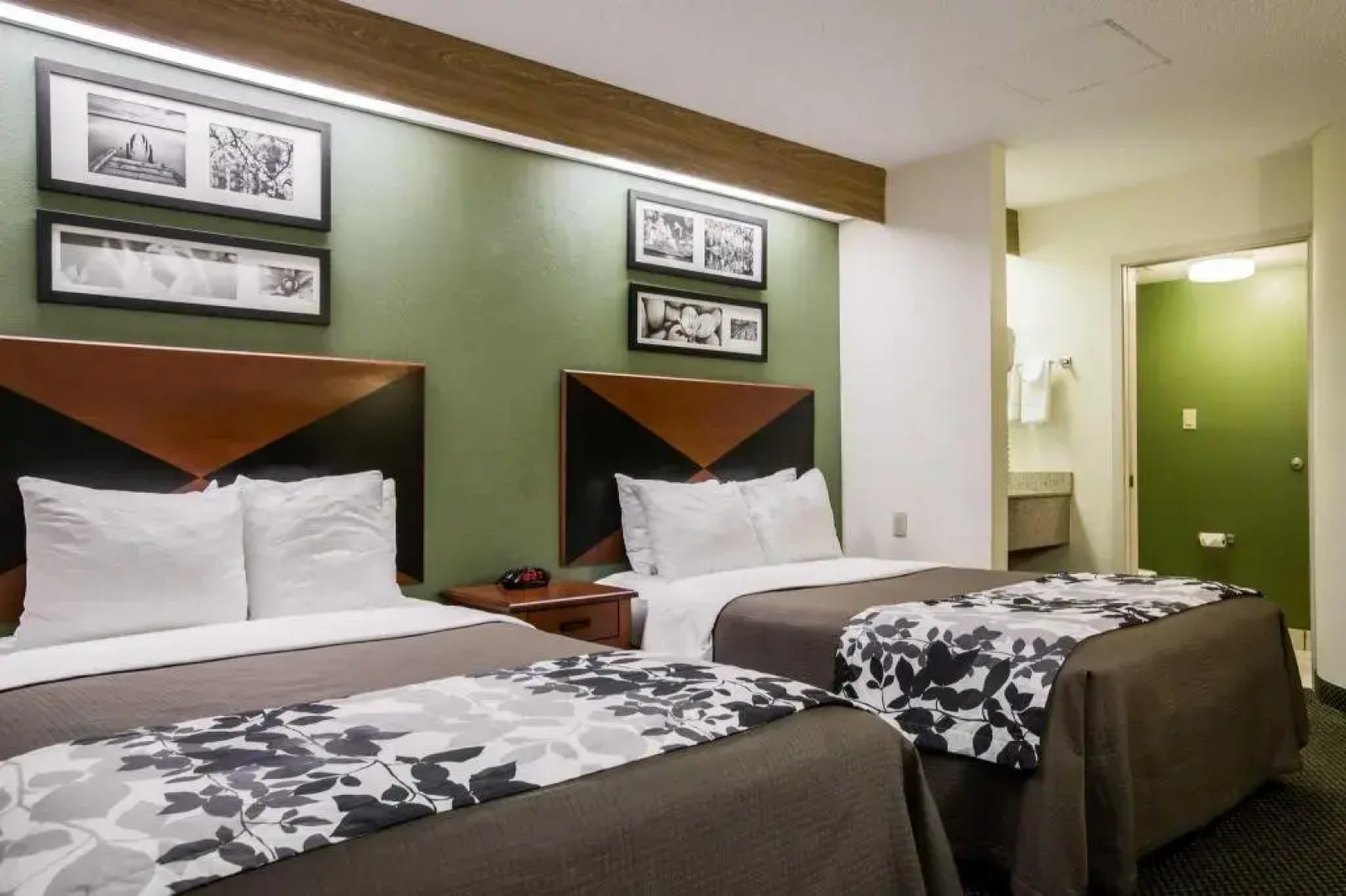 Sleep Inn Chattanooga Hamilton Place