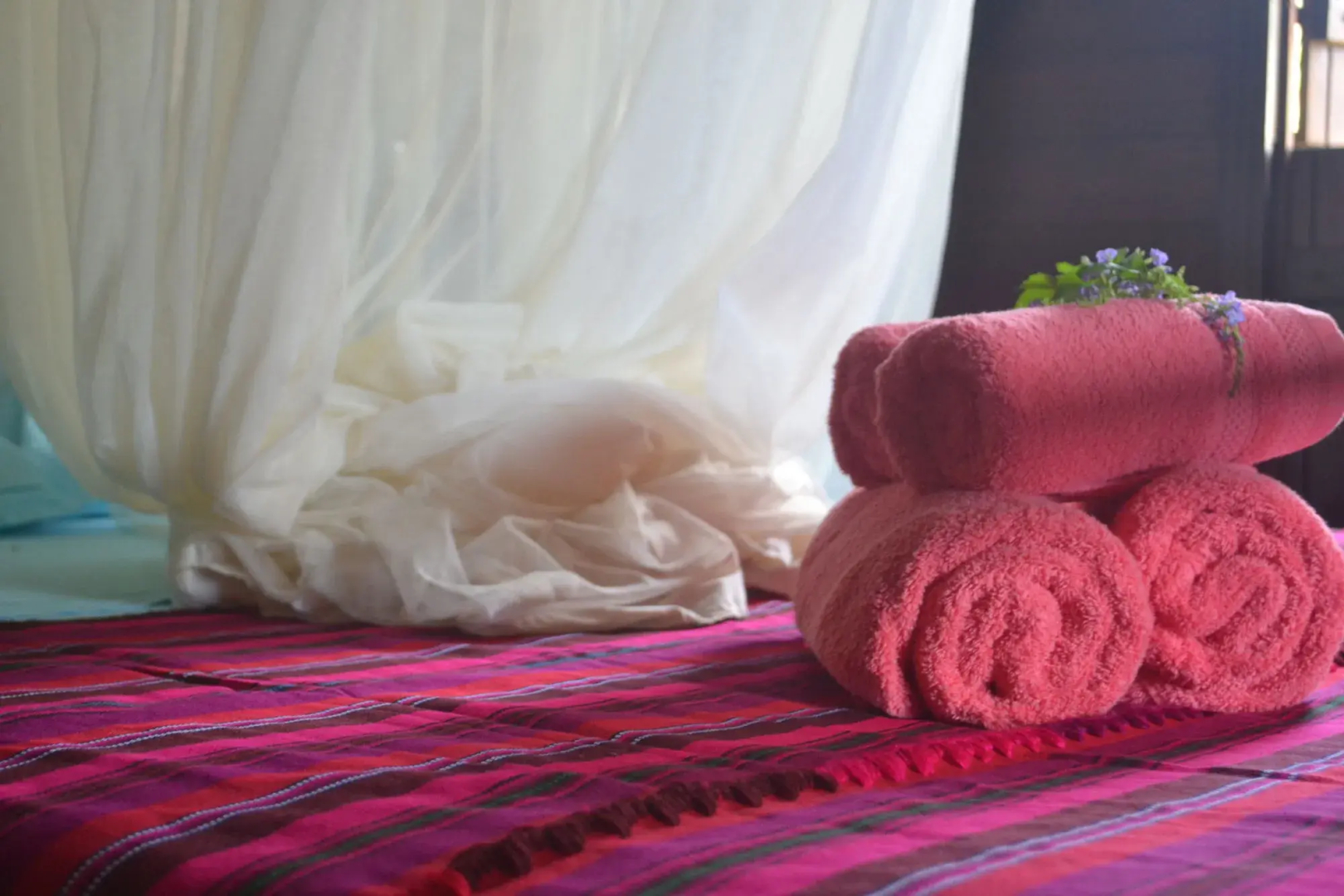 Piton Bungalows Ecolodges