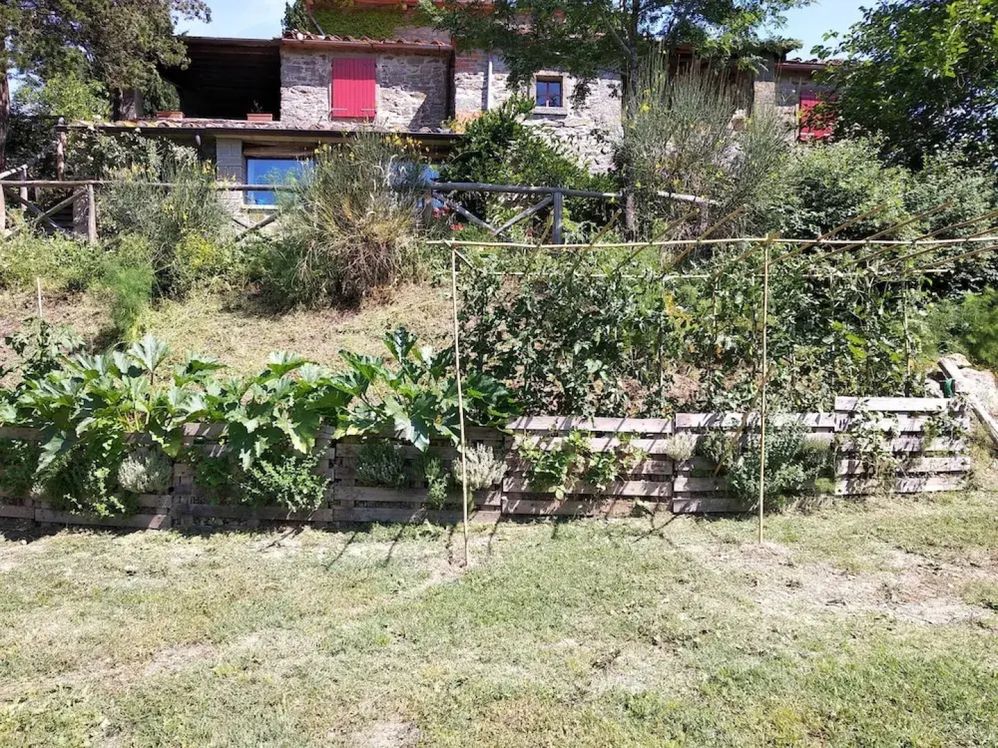 Azienda Agricola Ornina