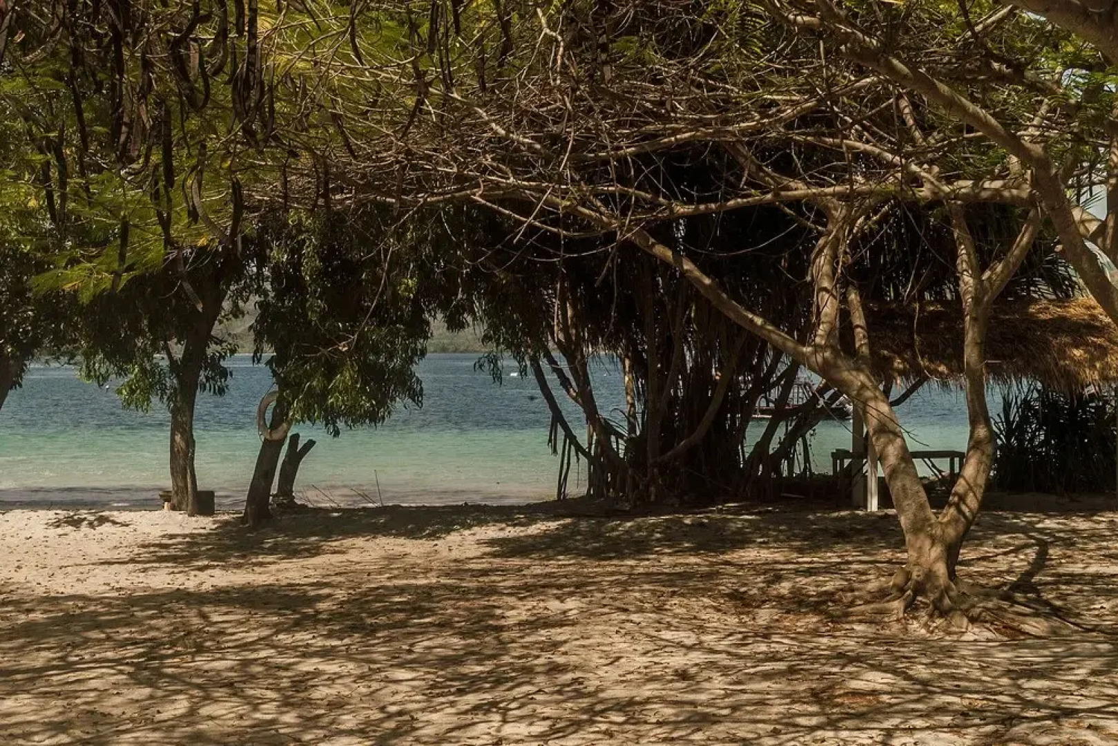 VAYAM Boutique Resort & Spa