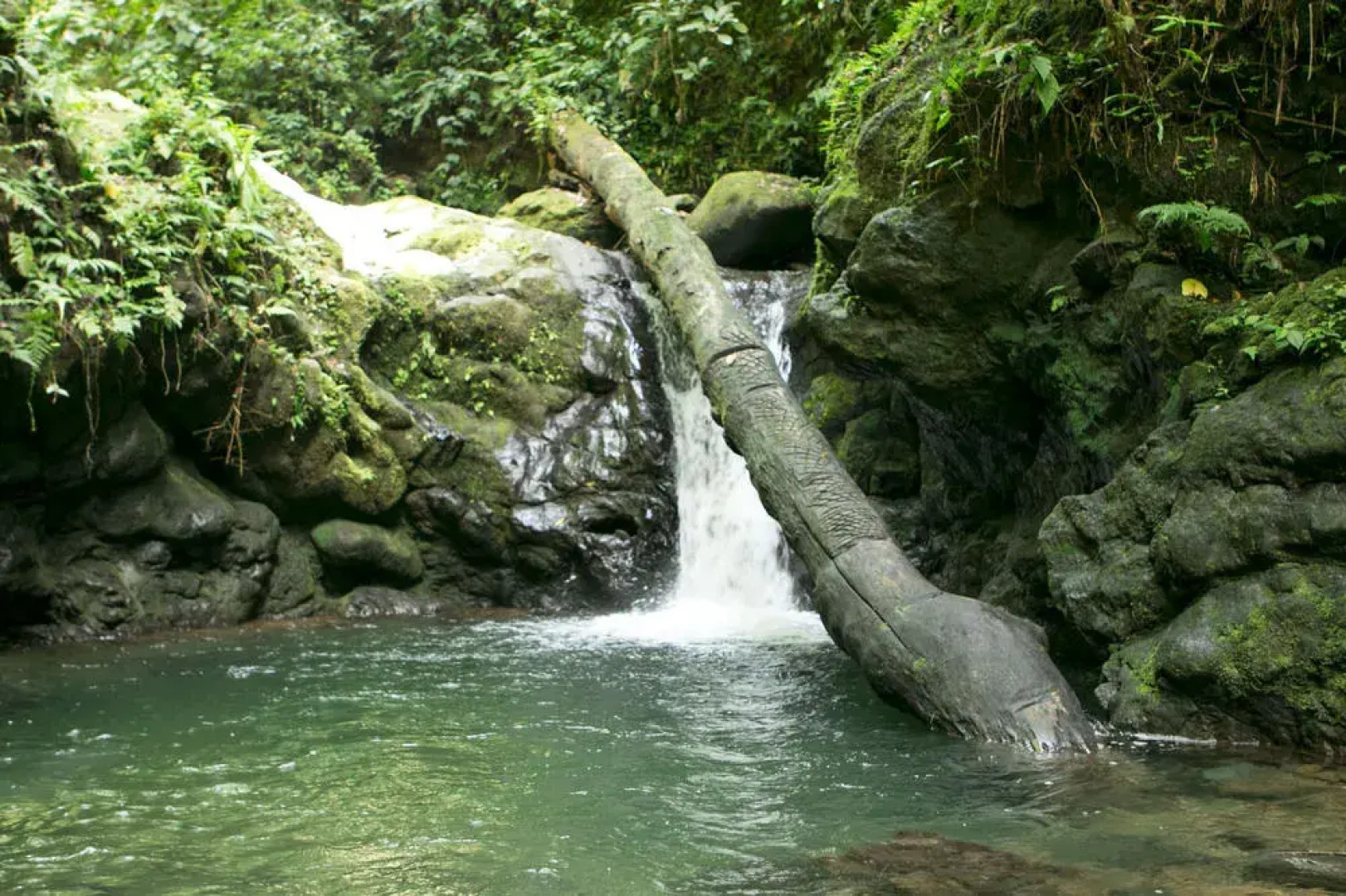 Rios Tropicales Lodge