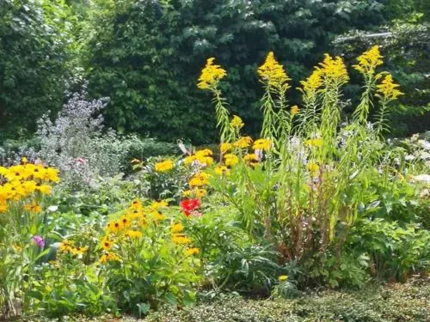 Modern Holiday Home in Hinternah with Forest Nearby