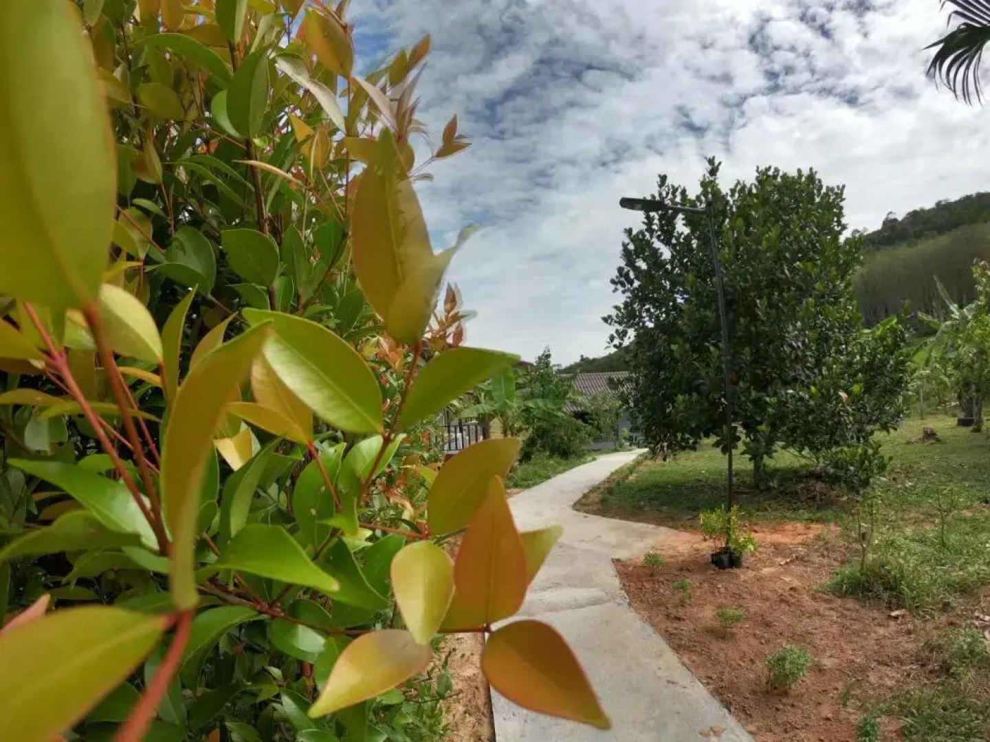 Green Mountain Resort Koh Yao