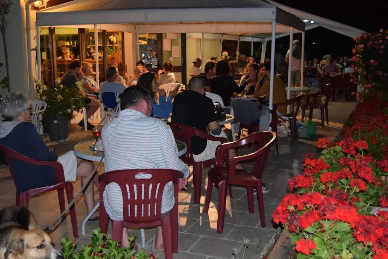 Camping Les étangs de Plessac