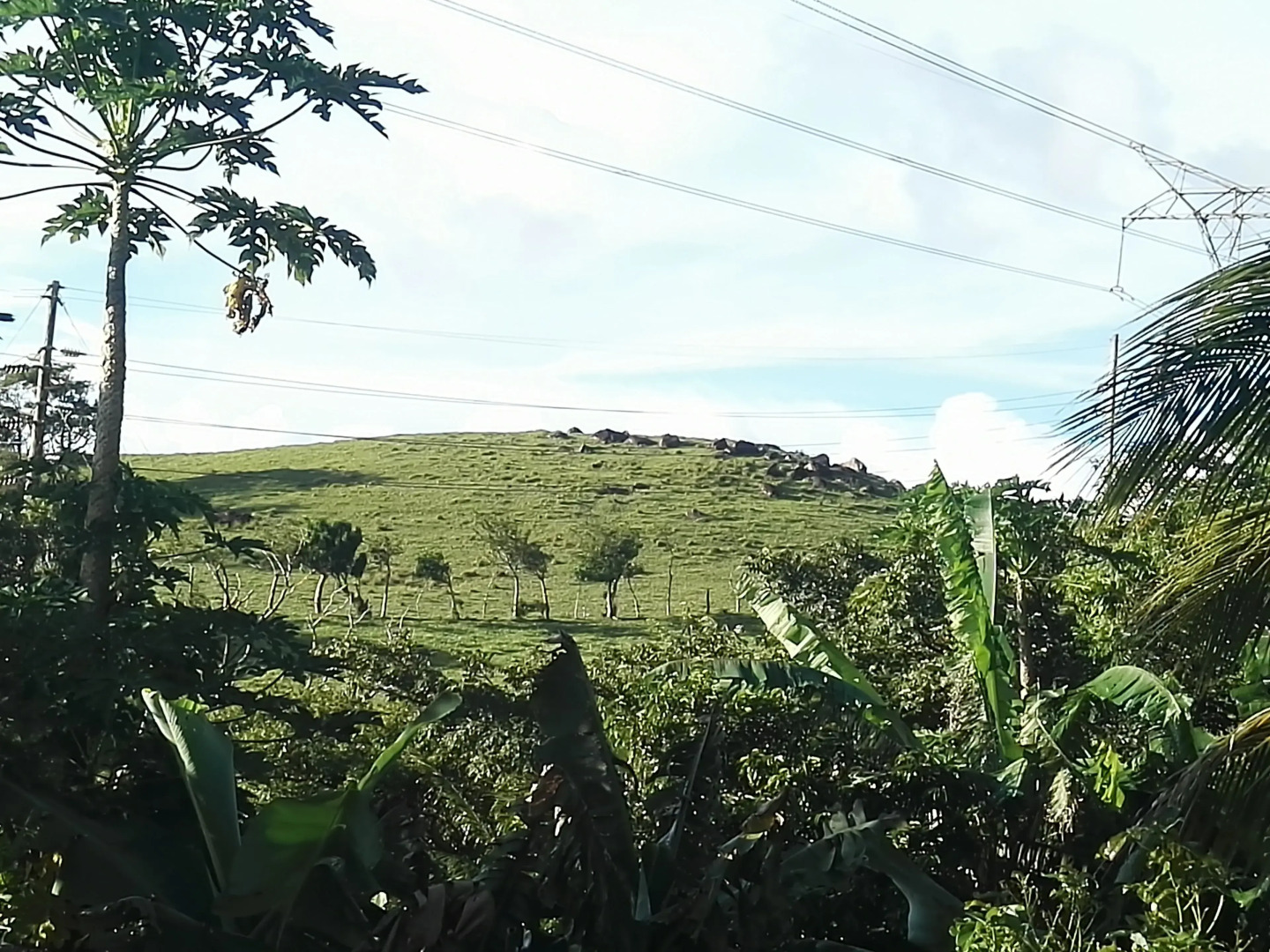 Pedacito de Cielo Guest House