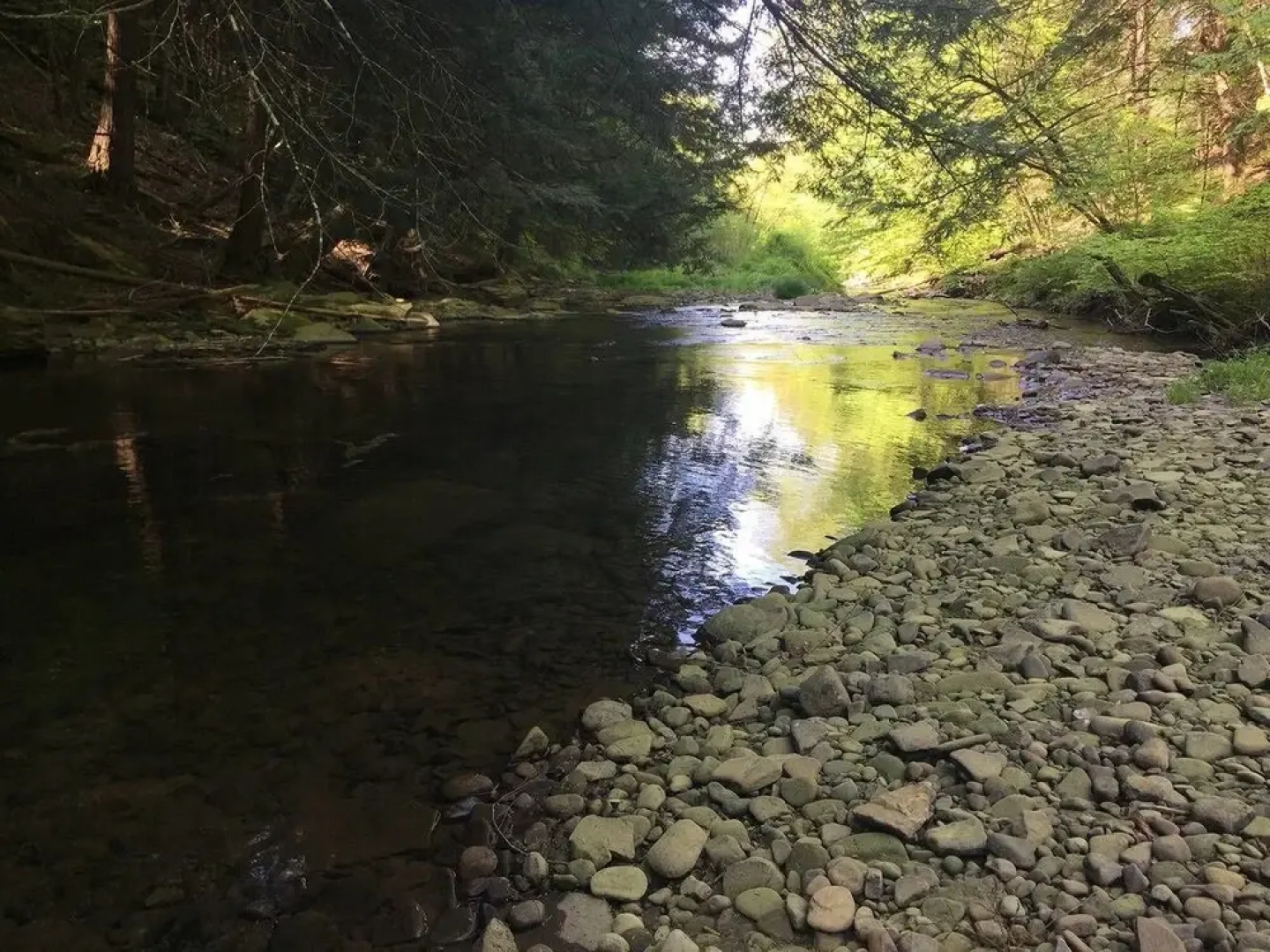 Tentrr - Sands Creek Camp