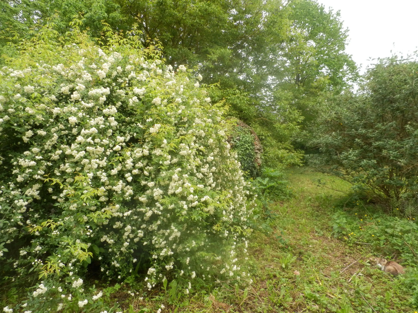Le Moulin des Marionnettes