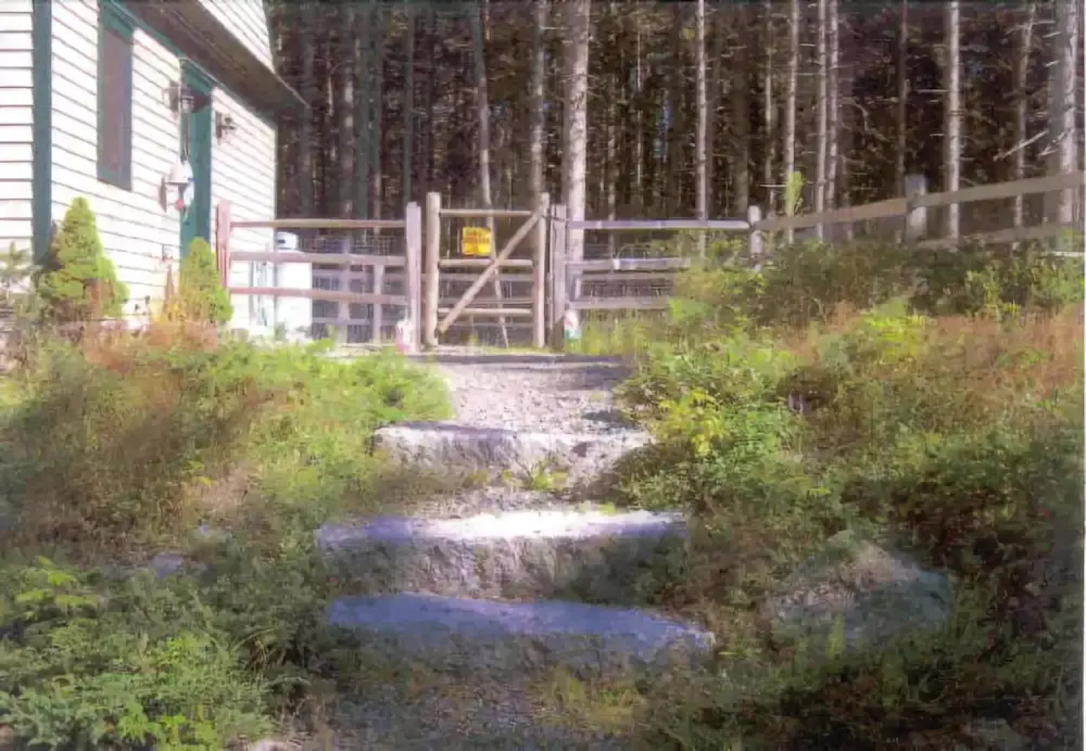 Wolfhound Cottage - One Bedroom Home