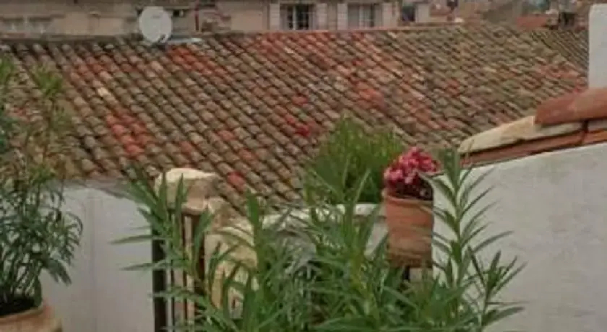 Harmony Home
