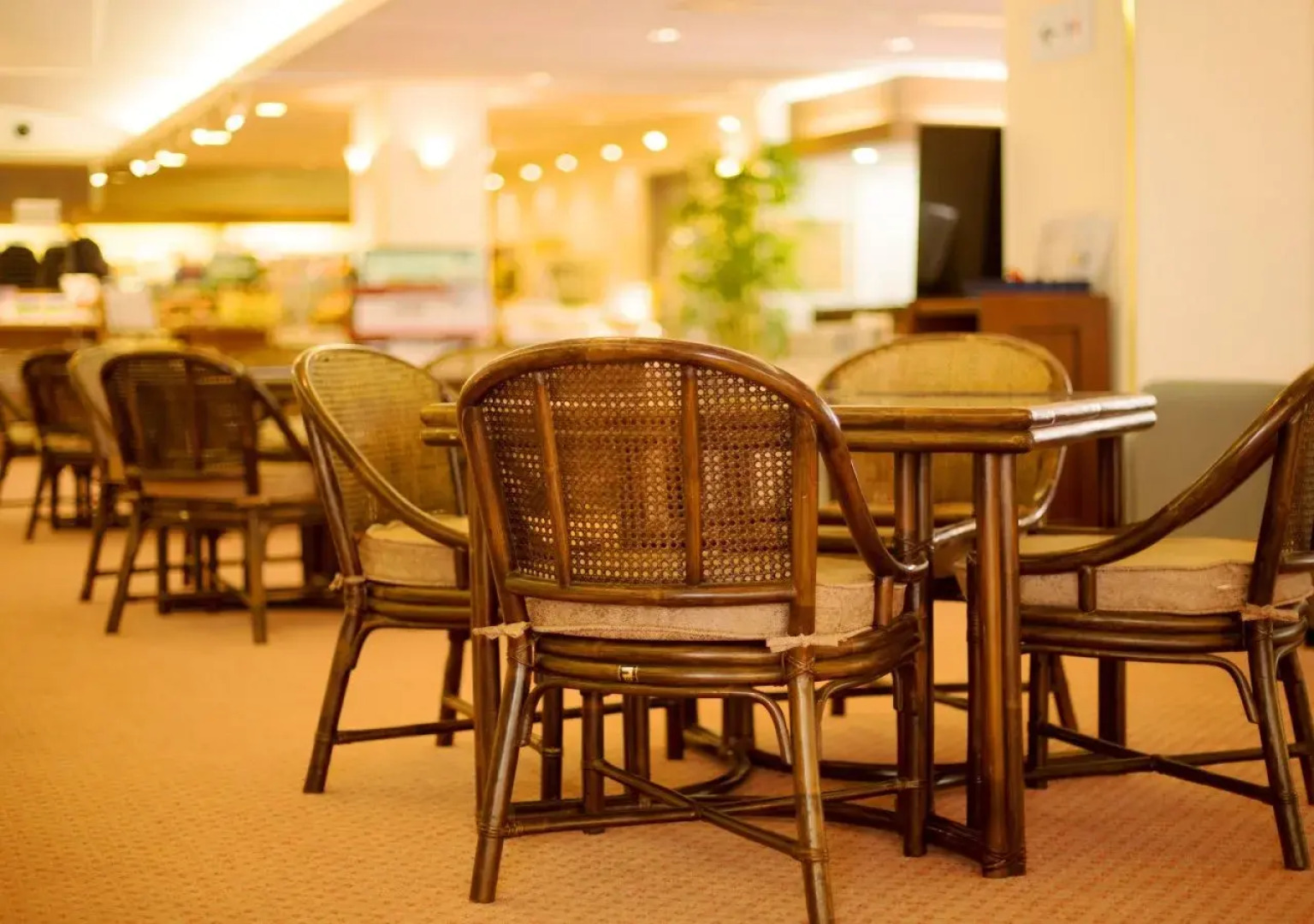 Tateyama Kokusai Hotel