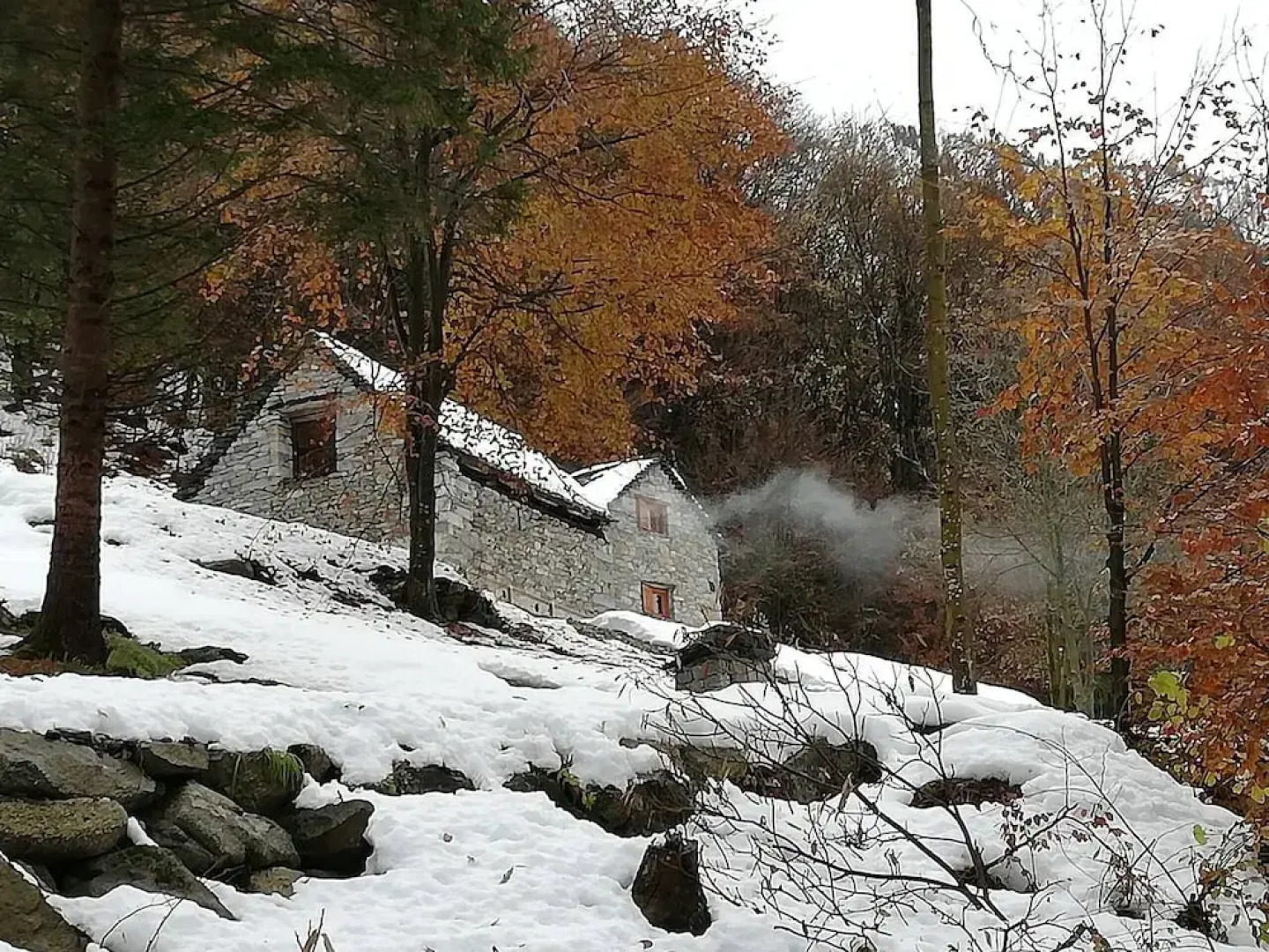 La Baita Nel Bosco Cir