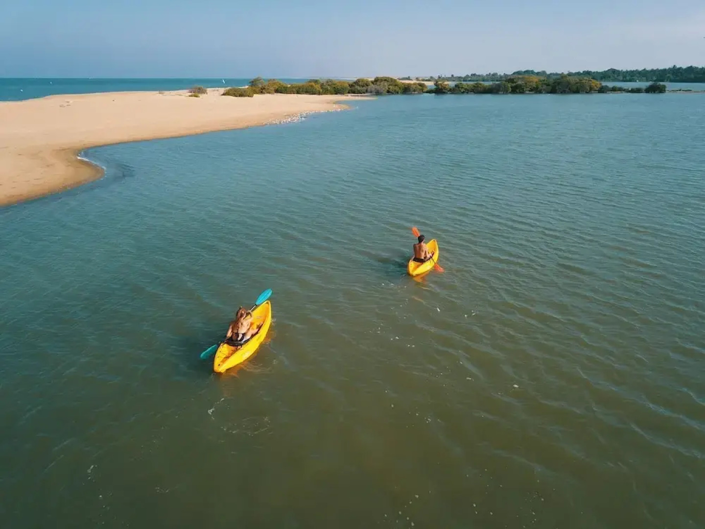 Elements Beach & Nature Resort