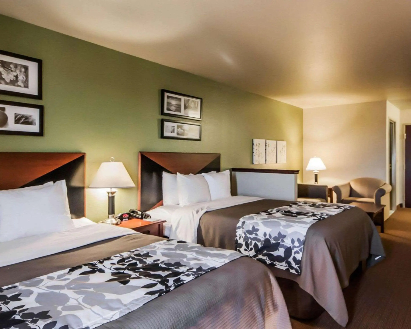 Sleep Inn & Suites Shamrock
