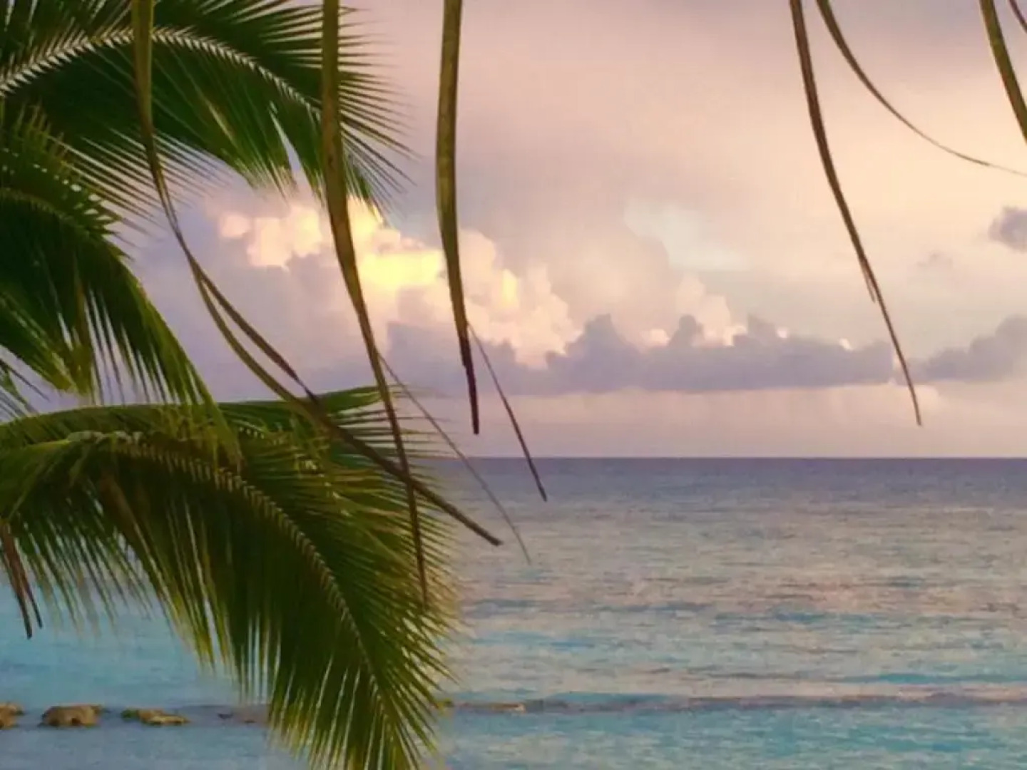 Cadaques Caribe Pez 103