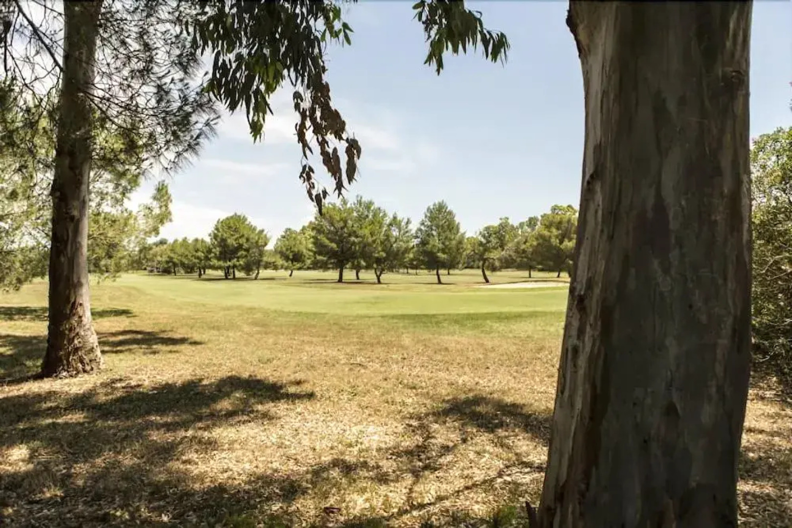 Villa Biancospini 16