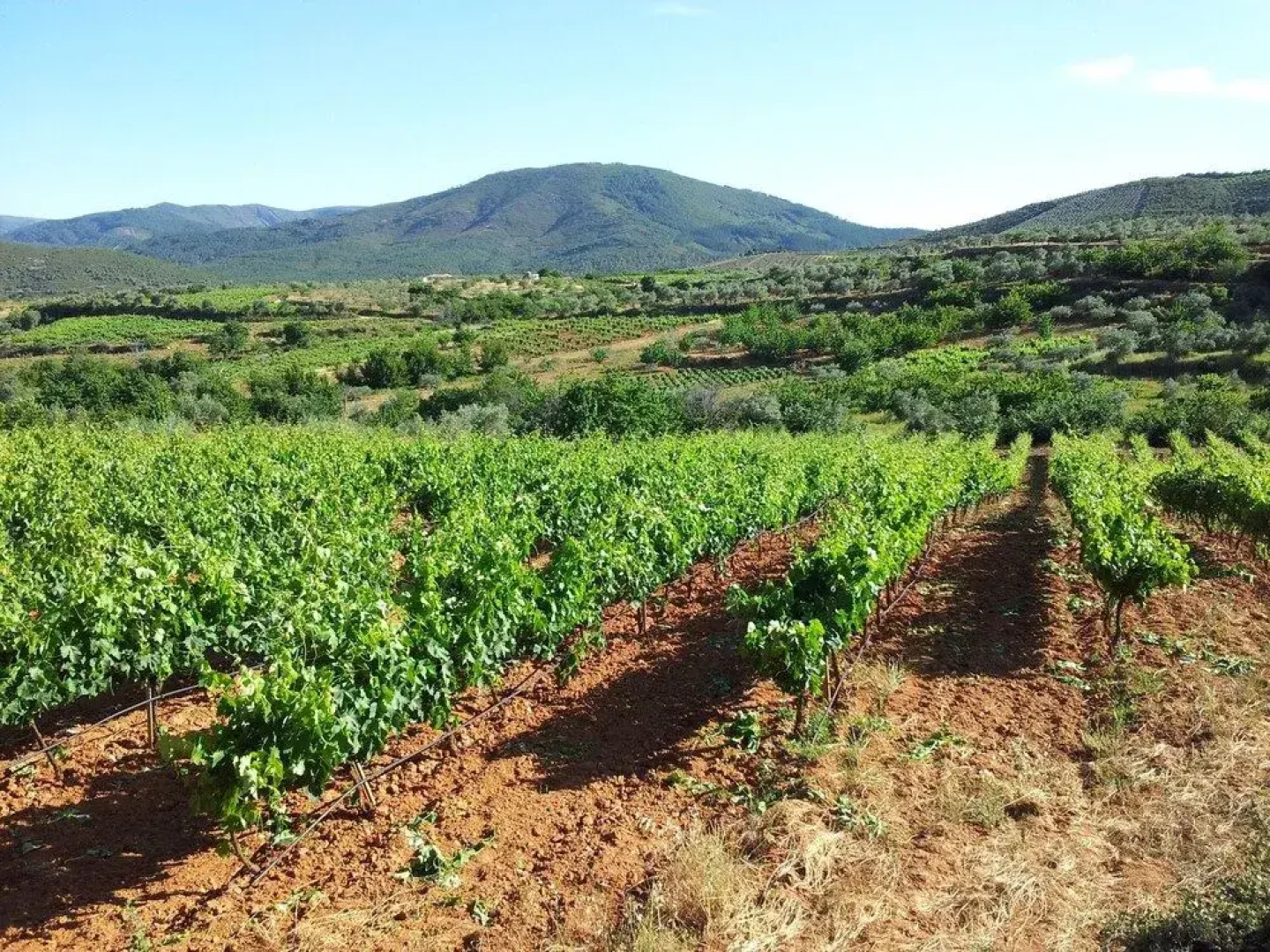 Apartamentos El Mirador Del Soto