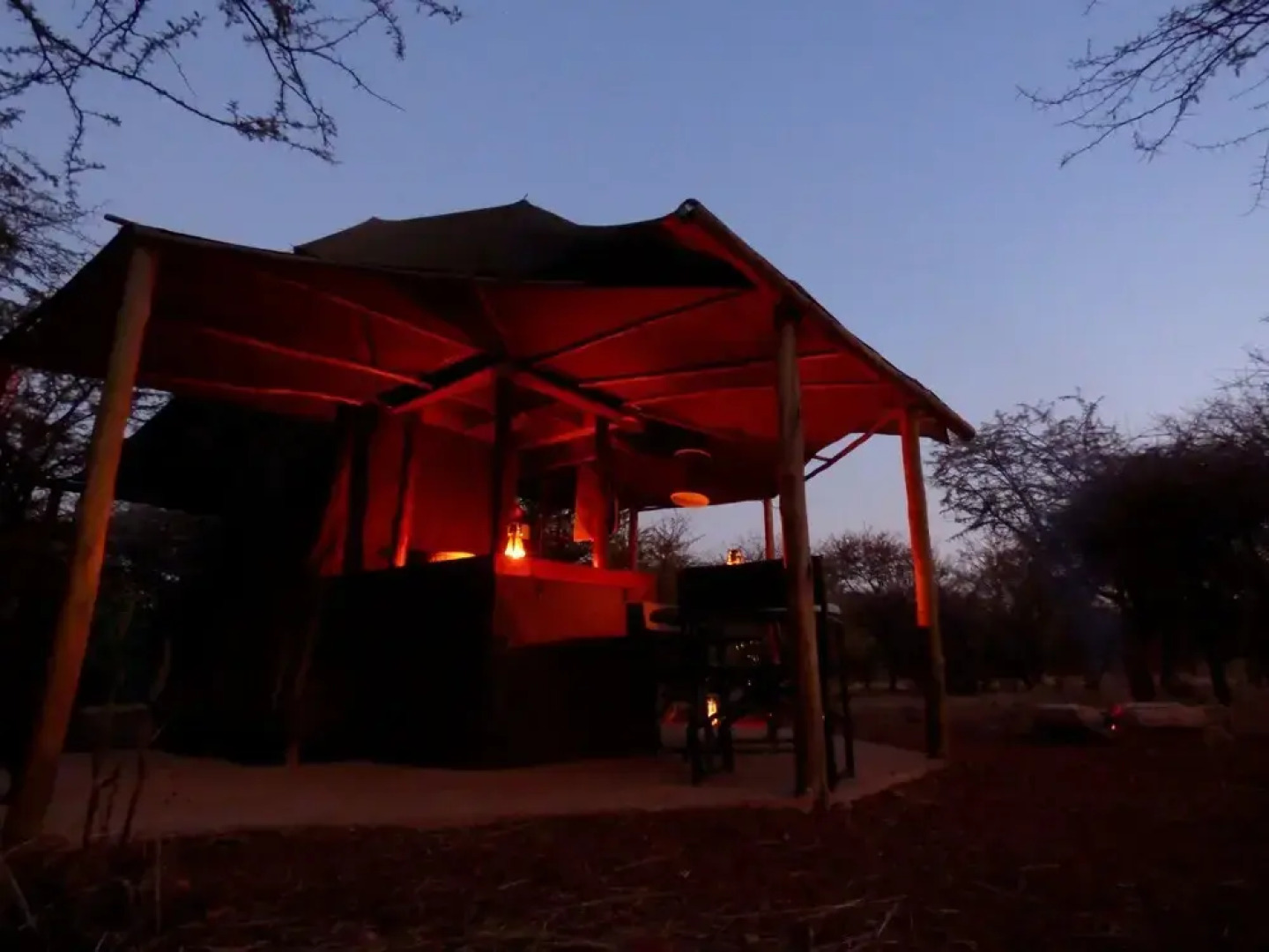 Thorn Tree Bush Camp